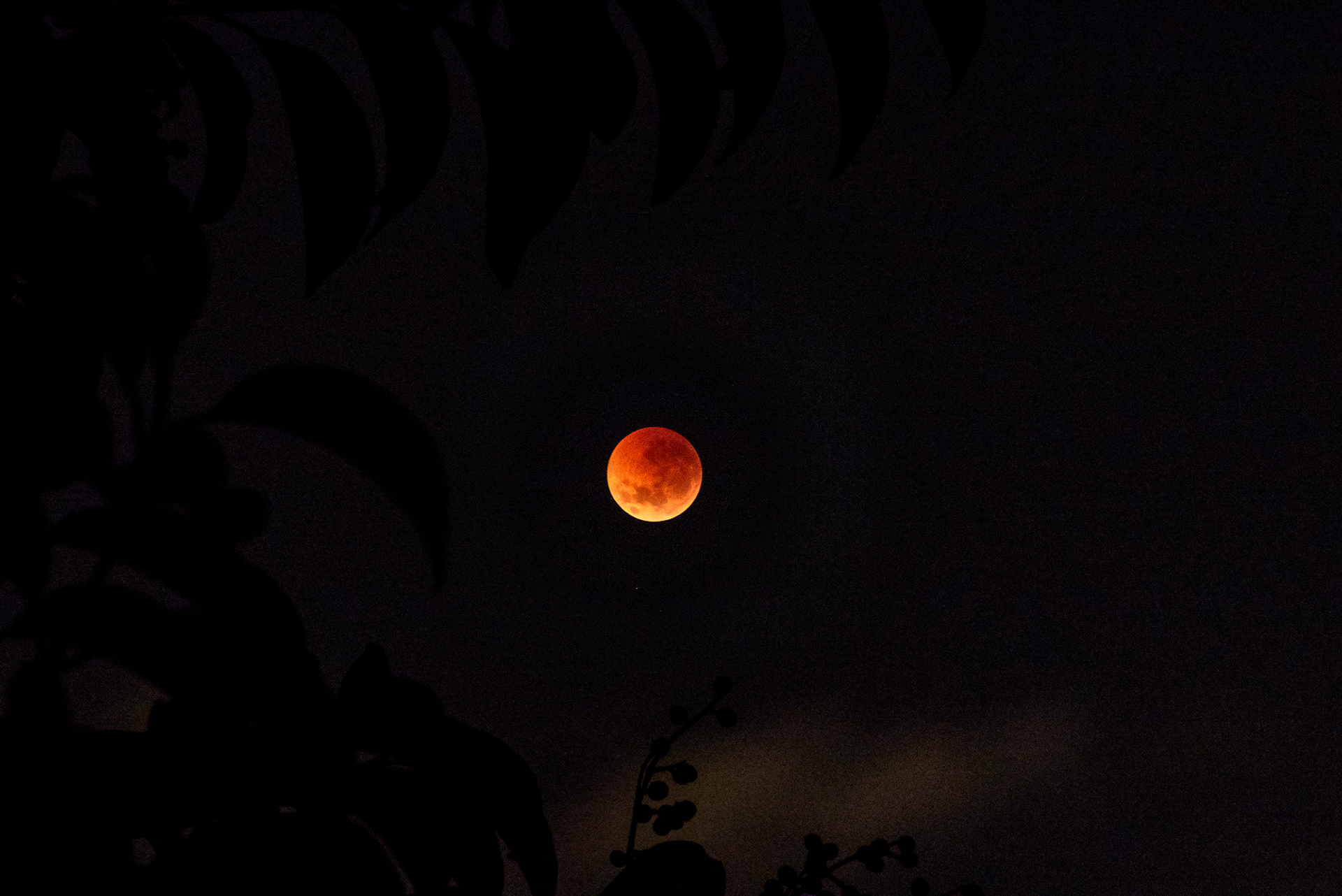 A total lunar eclipse occurs when the Earth is positioned between the sun and the moon, casting a shadow that turns the full moon red