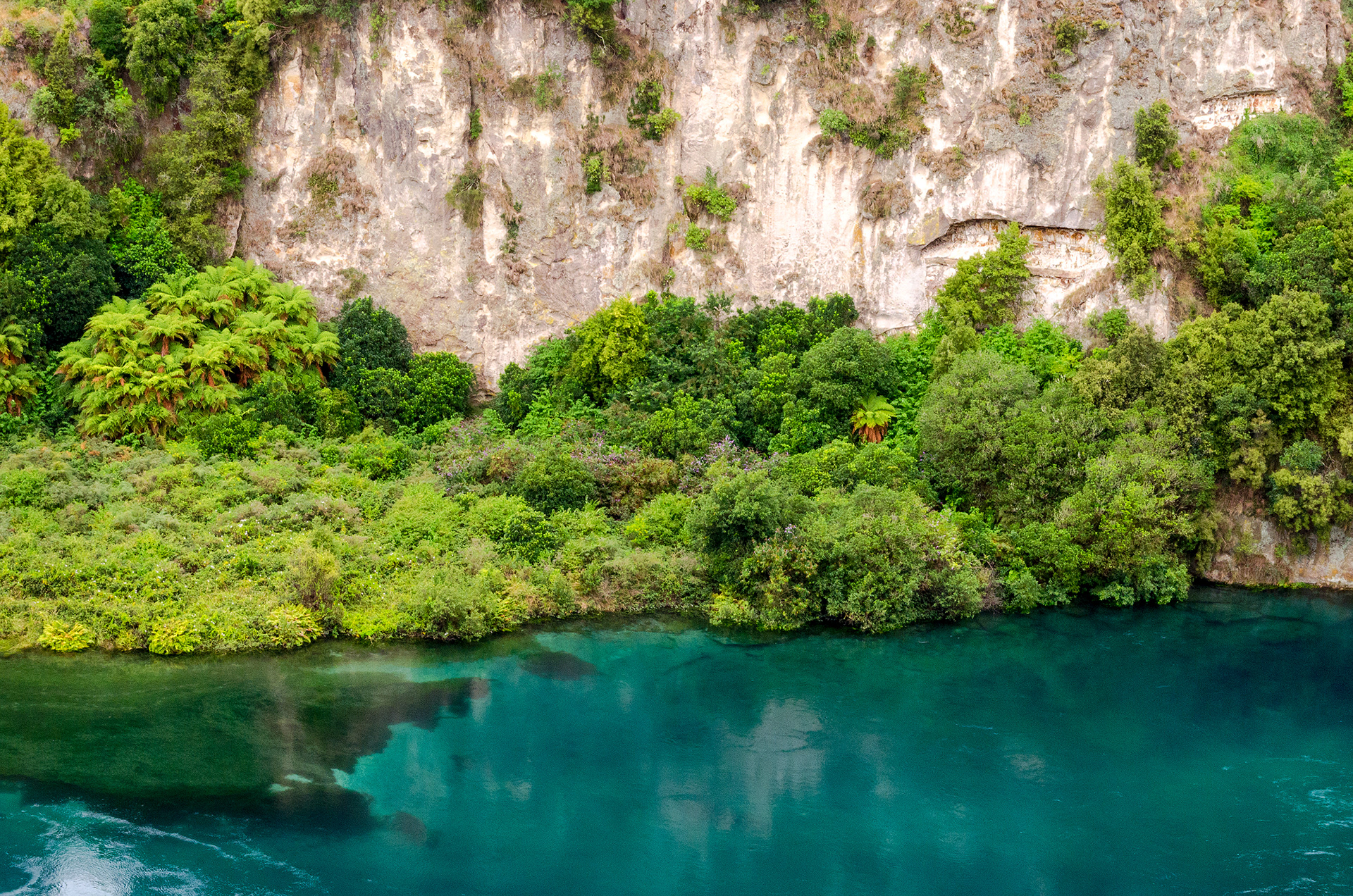 The turquoise hue of the longest river in New Zealand, the Waikato River