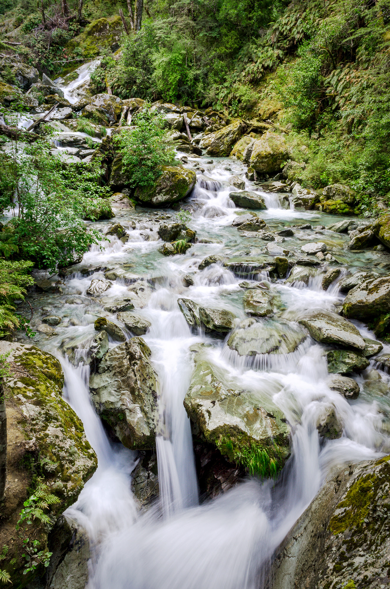One of the many waterfall cascades seen in the lush bush of the Routeburn Track in the South Island of New Zealand