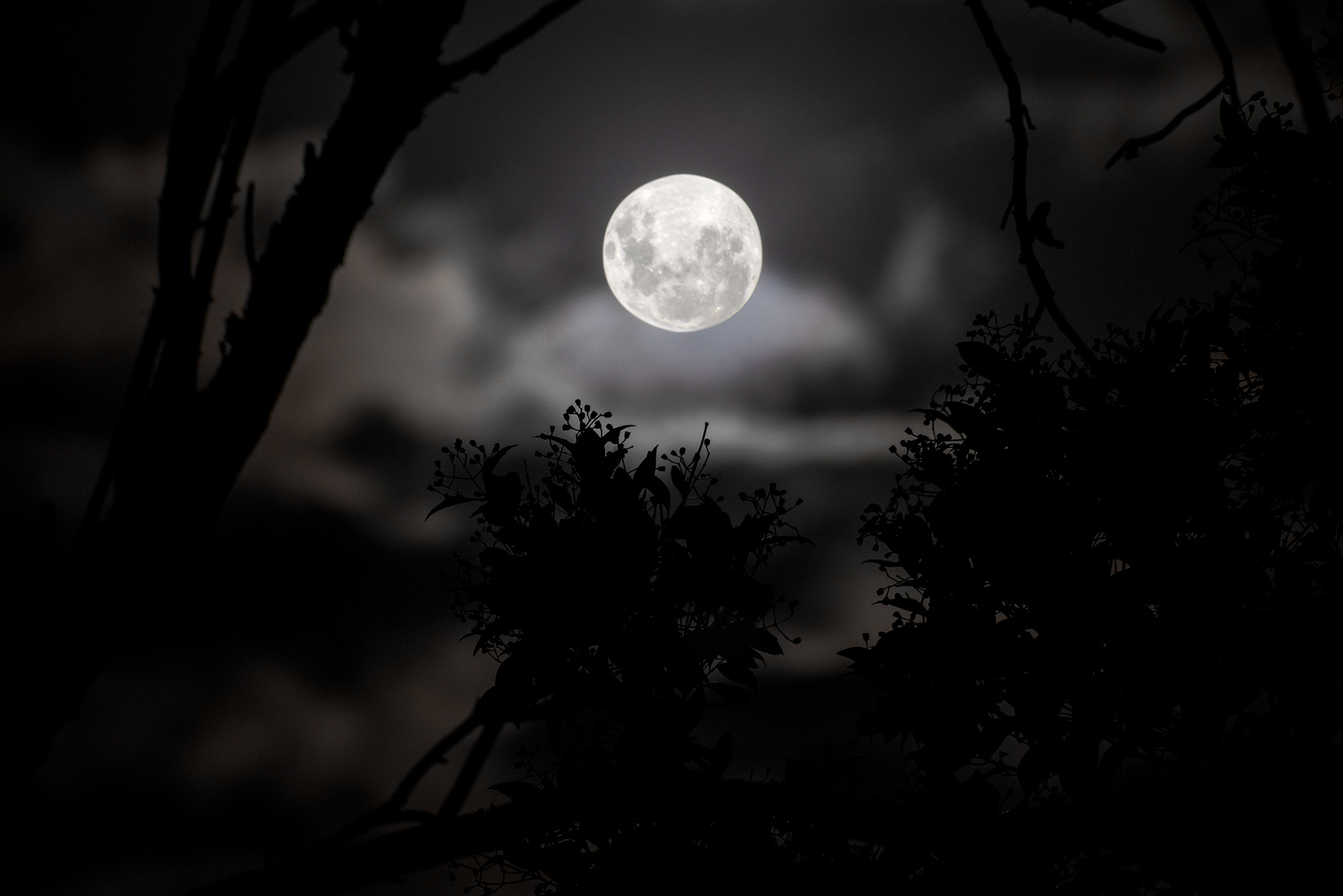The super snow moon is the biggest full moon of 2019 as seen in Melbourne, Australia