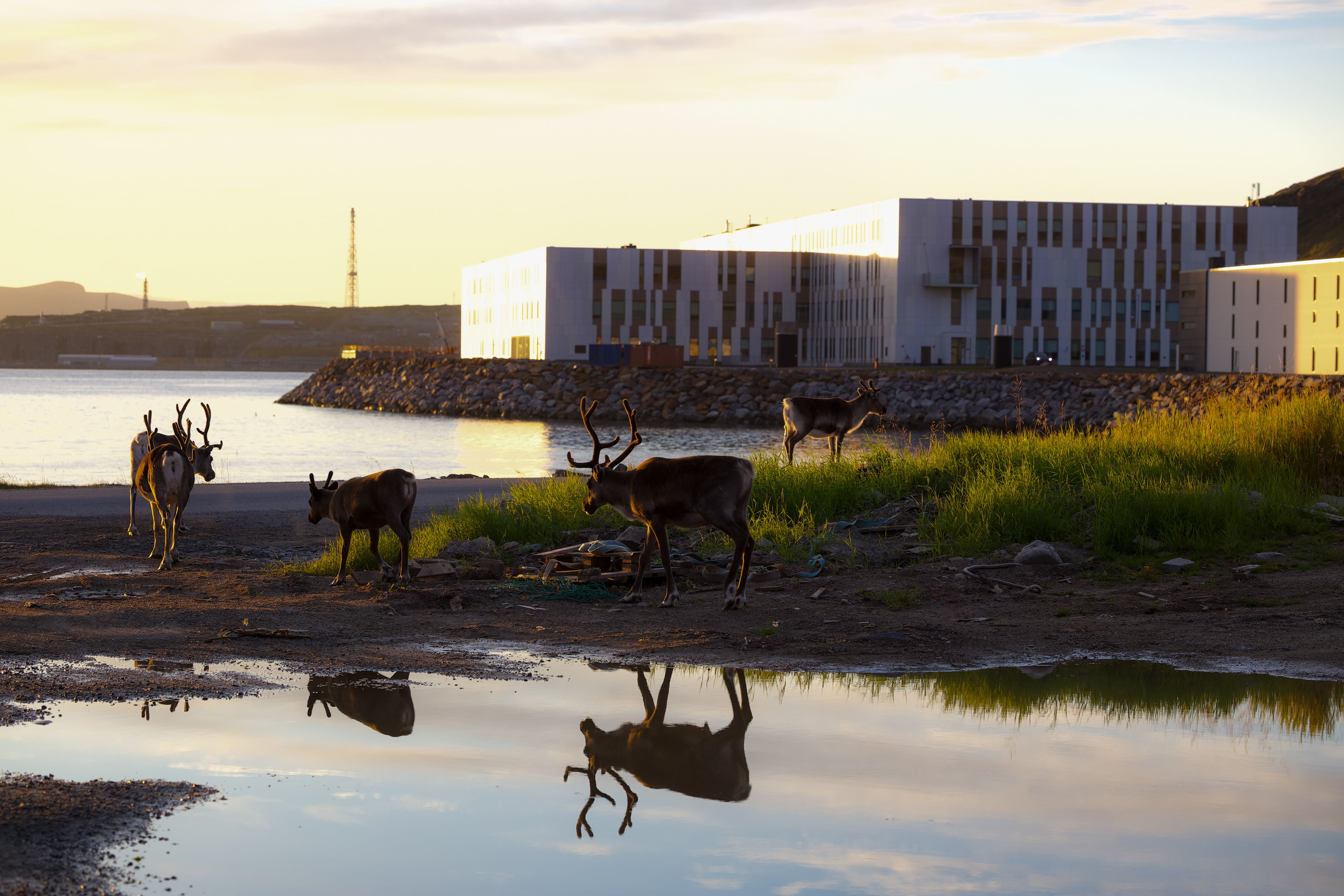 They Works Hard for The Money