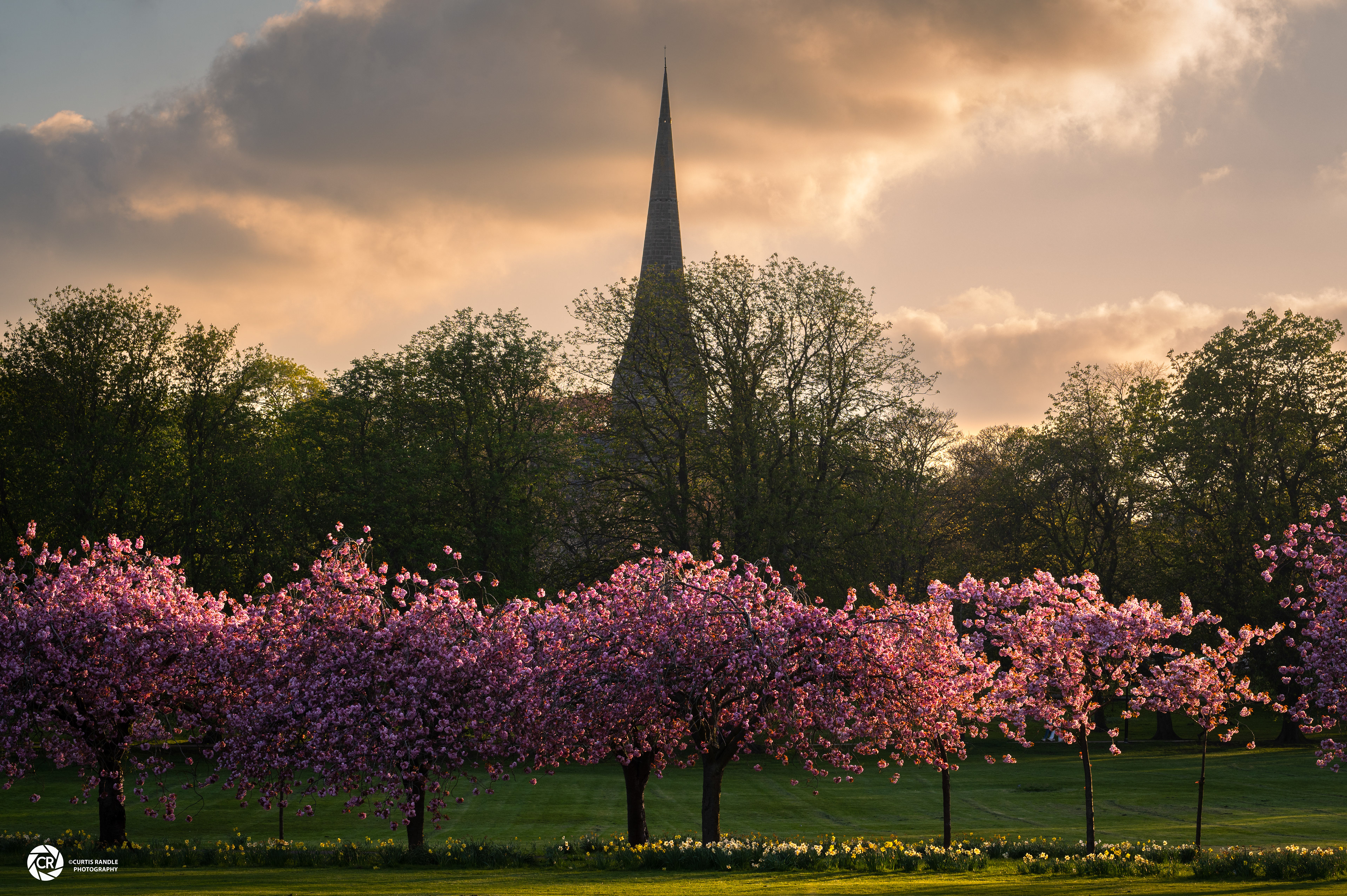 Harrogate