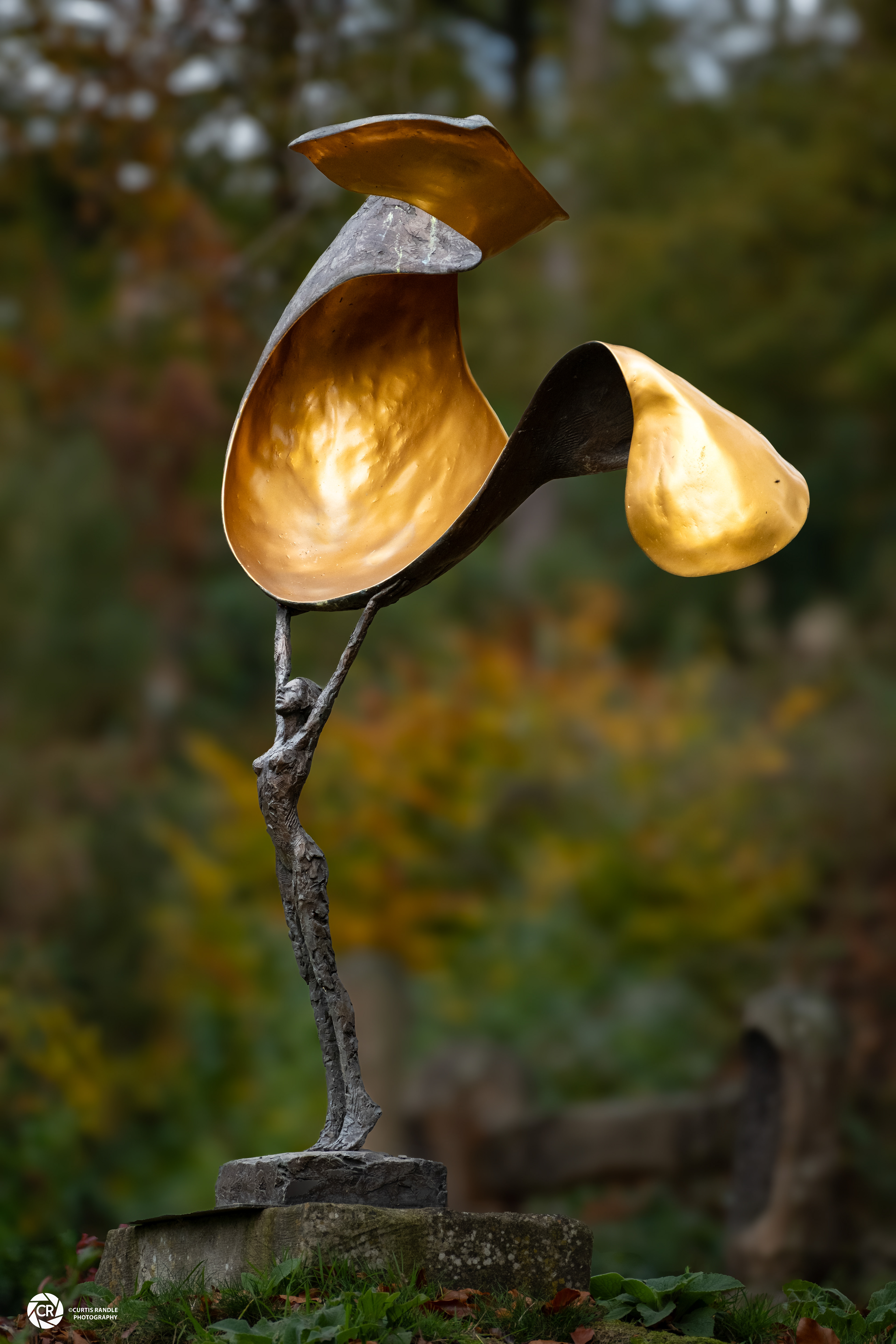 Himalayan Garden & Sculpture Park