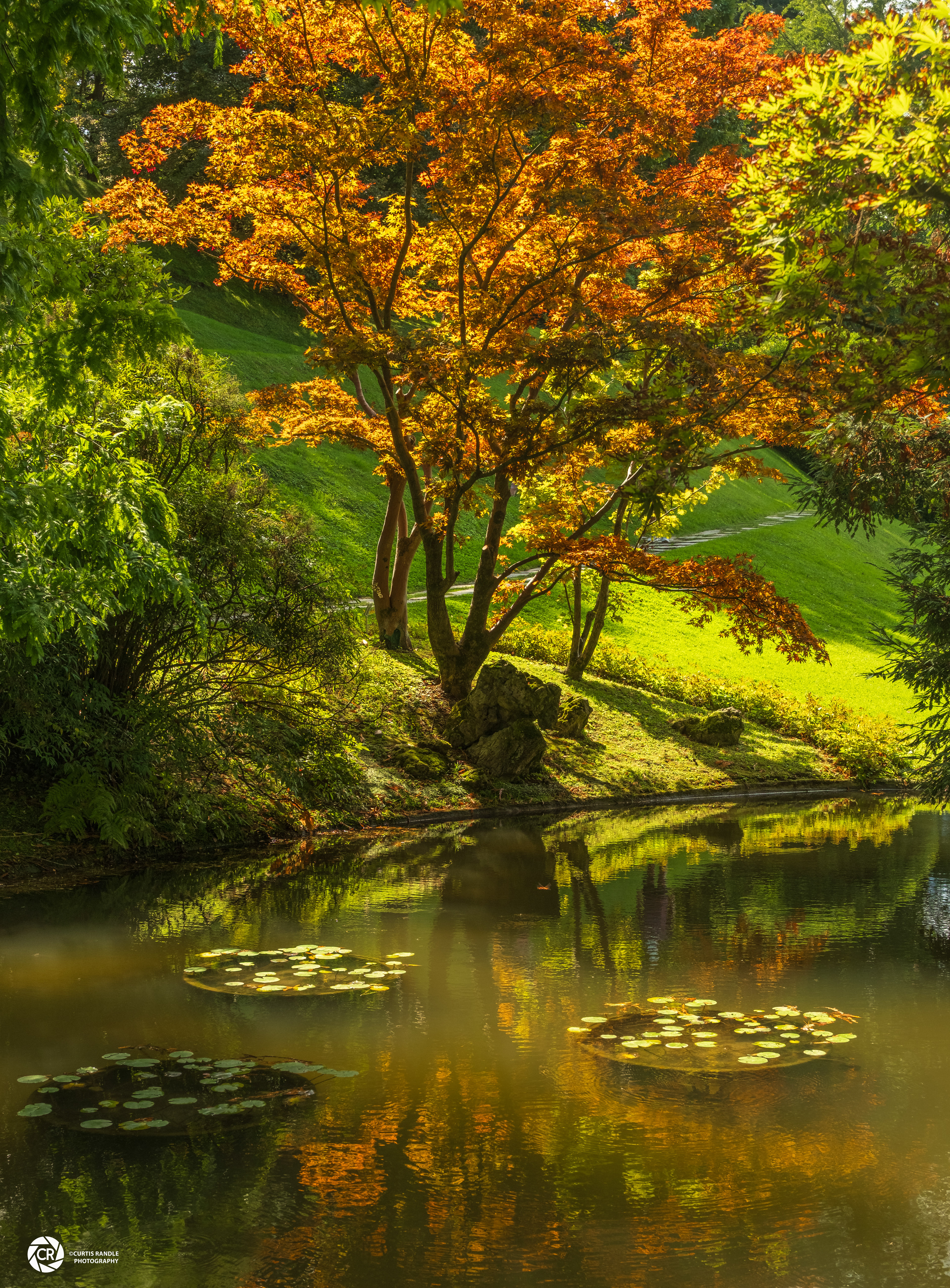 Villa Melzi Gardens in Bellagio