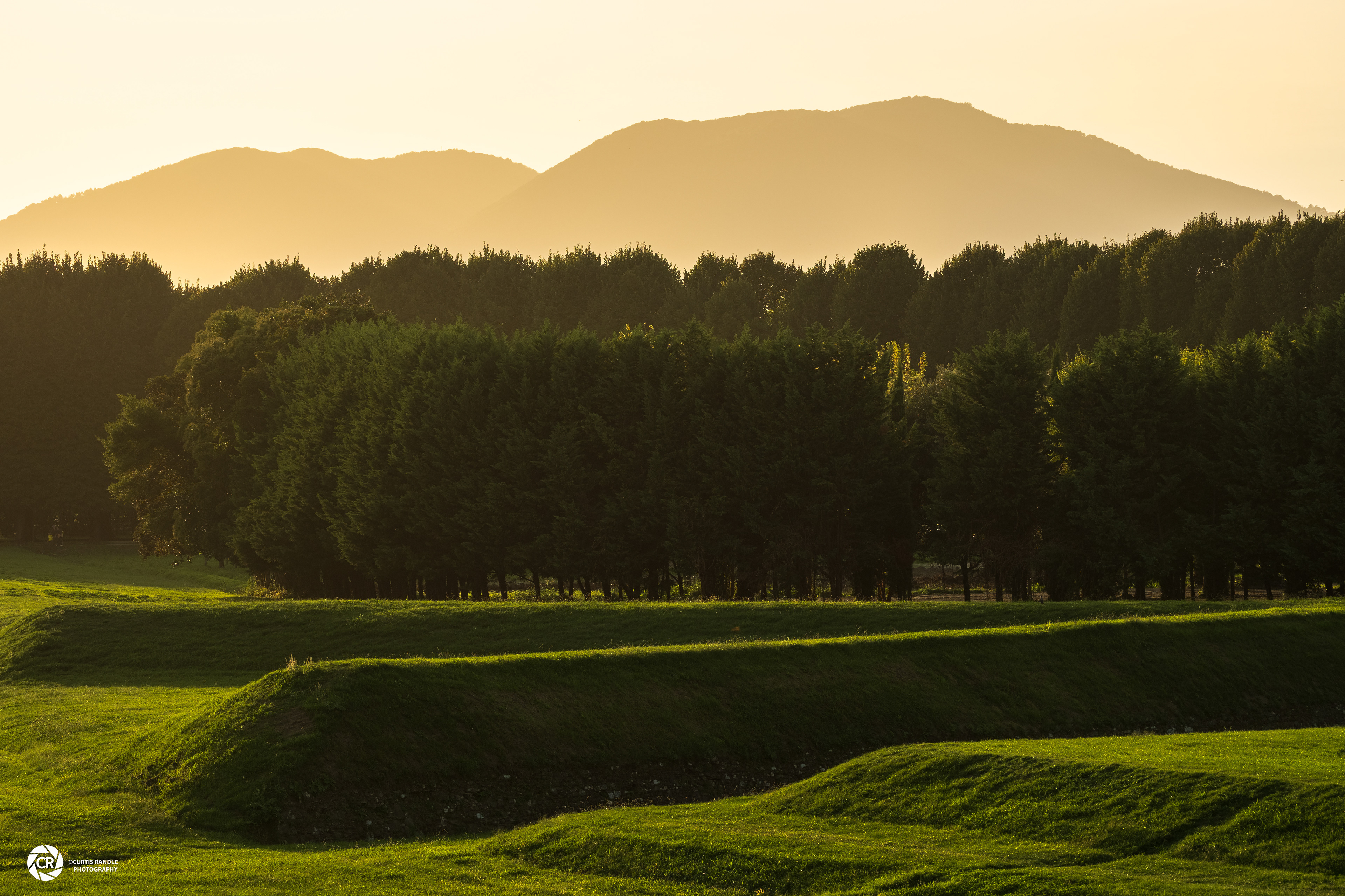 View from City Walls, Lucca