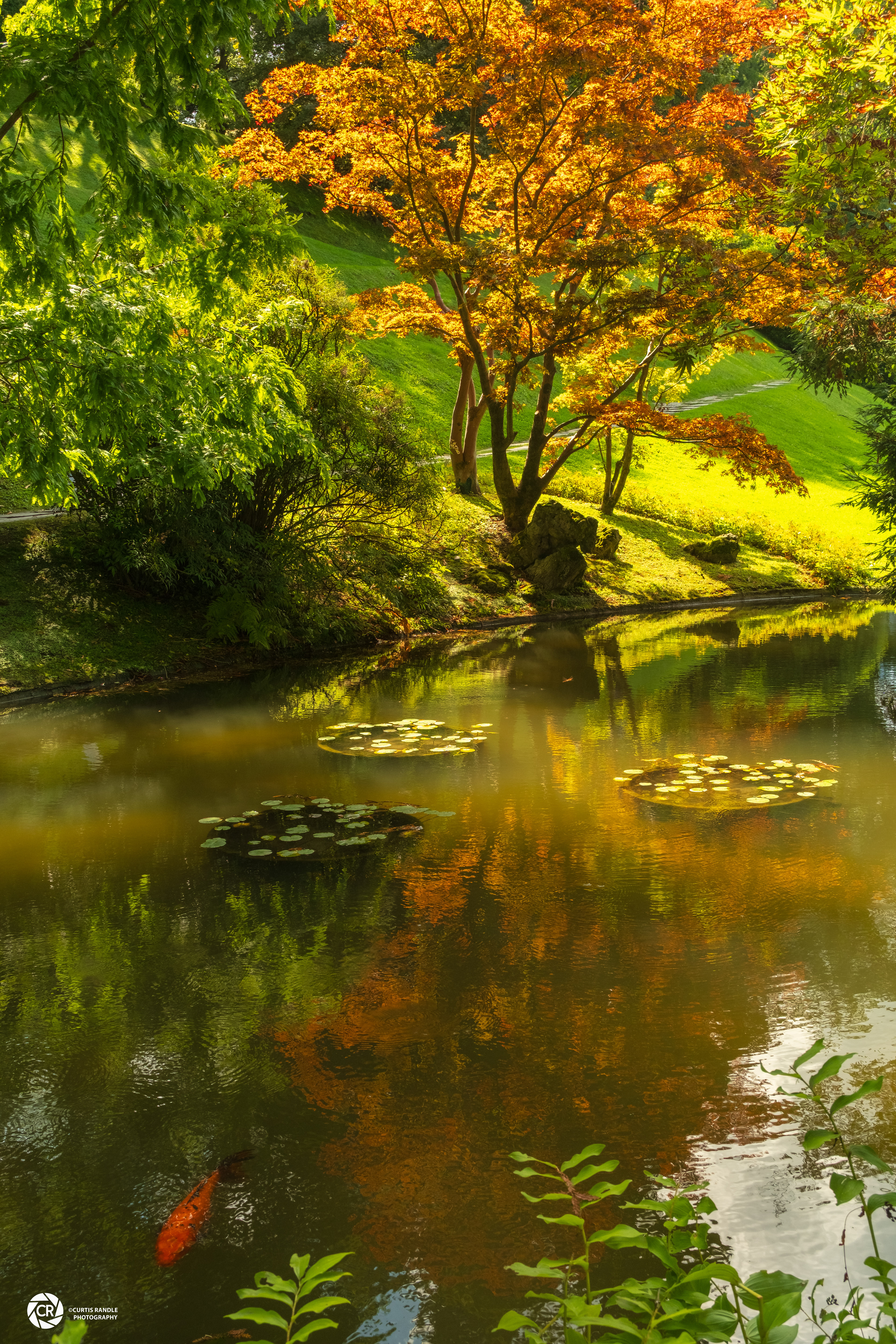 Villa Melzi Gardens in Bellagio, Lake Como