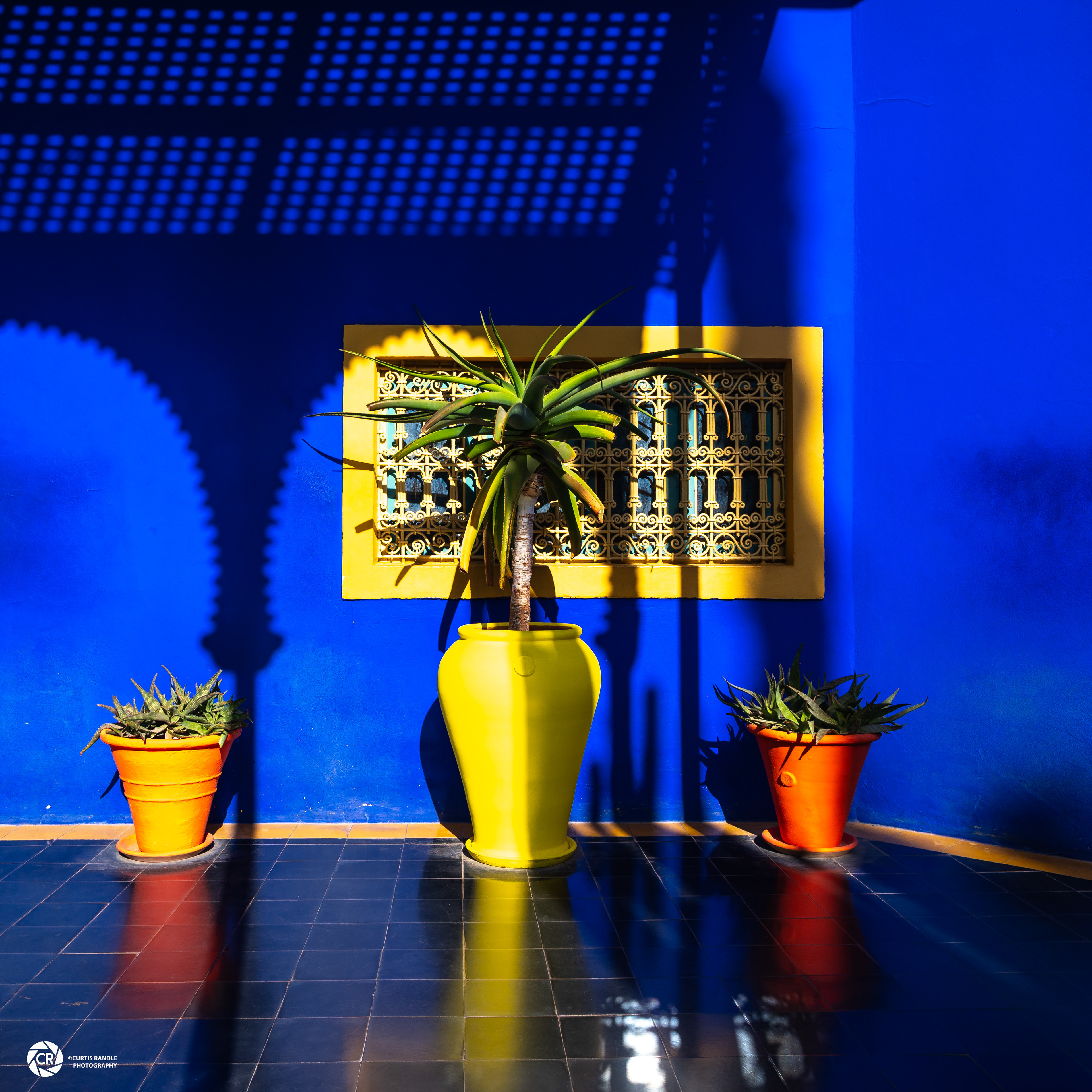 Majorelle Gardens, Marrakech