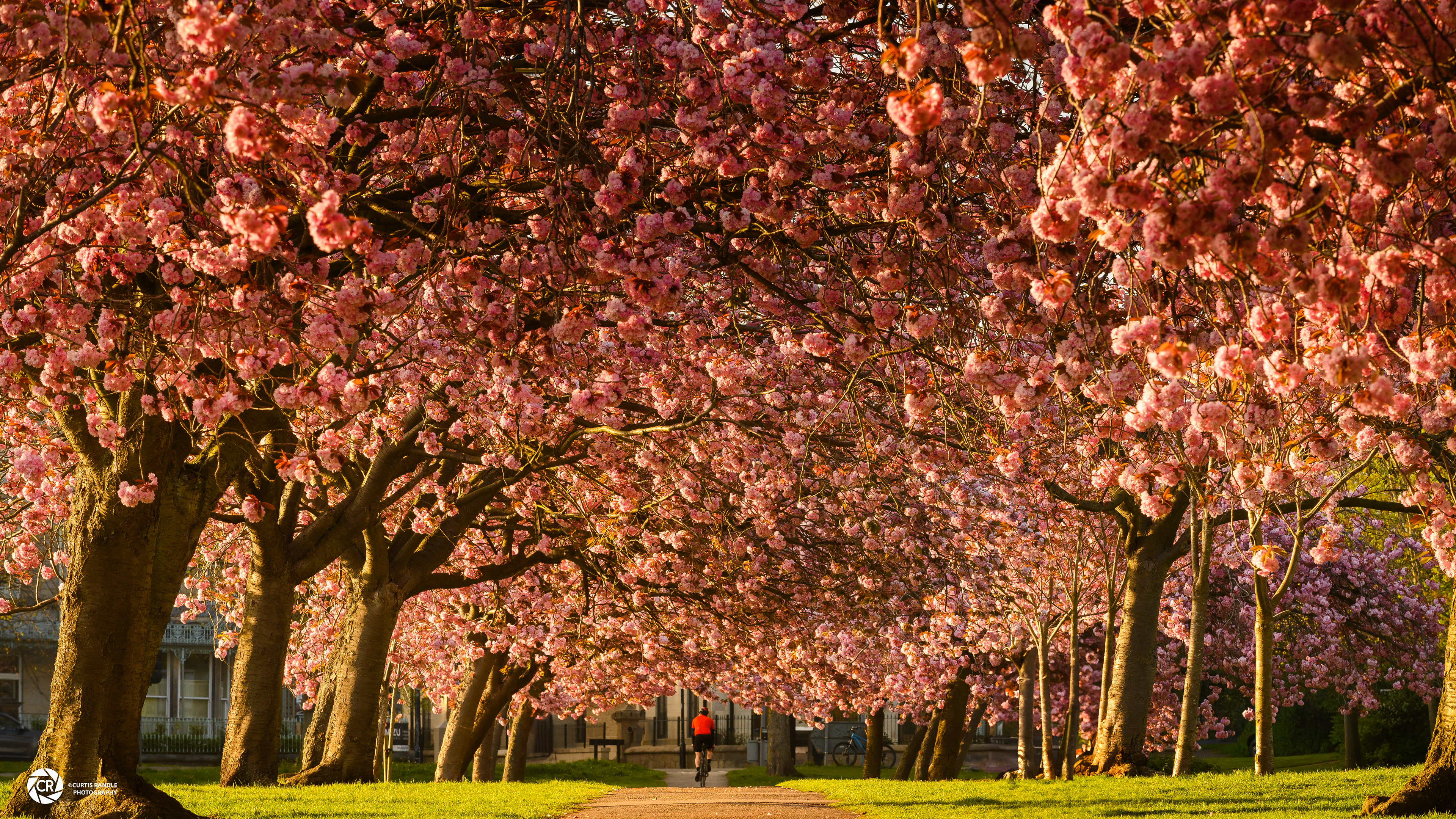Harrogate