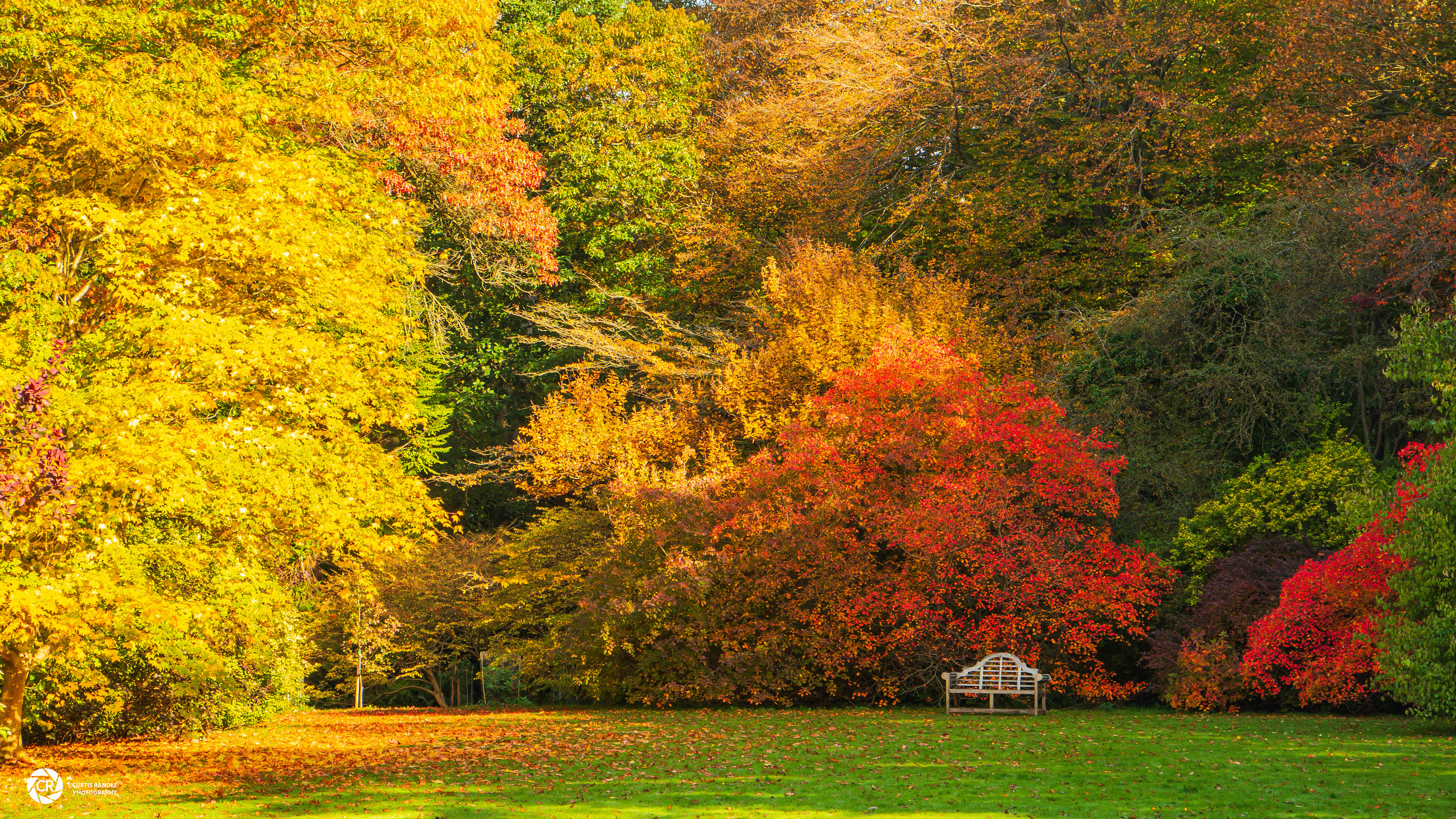 Thorp Perrow