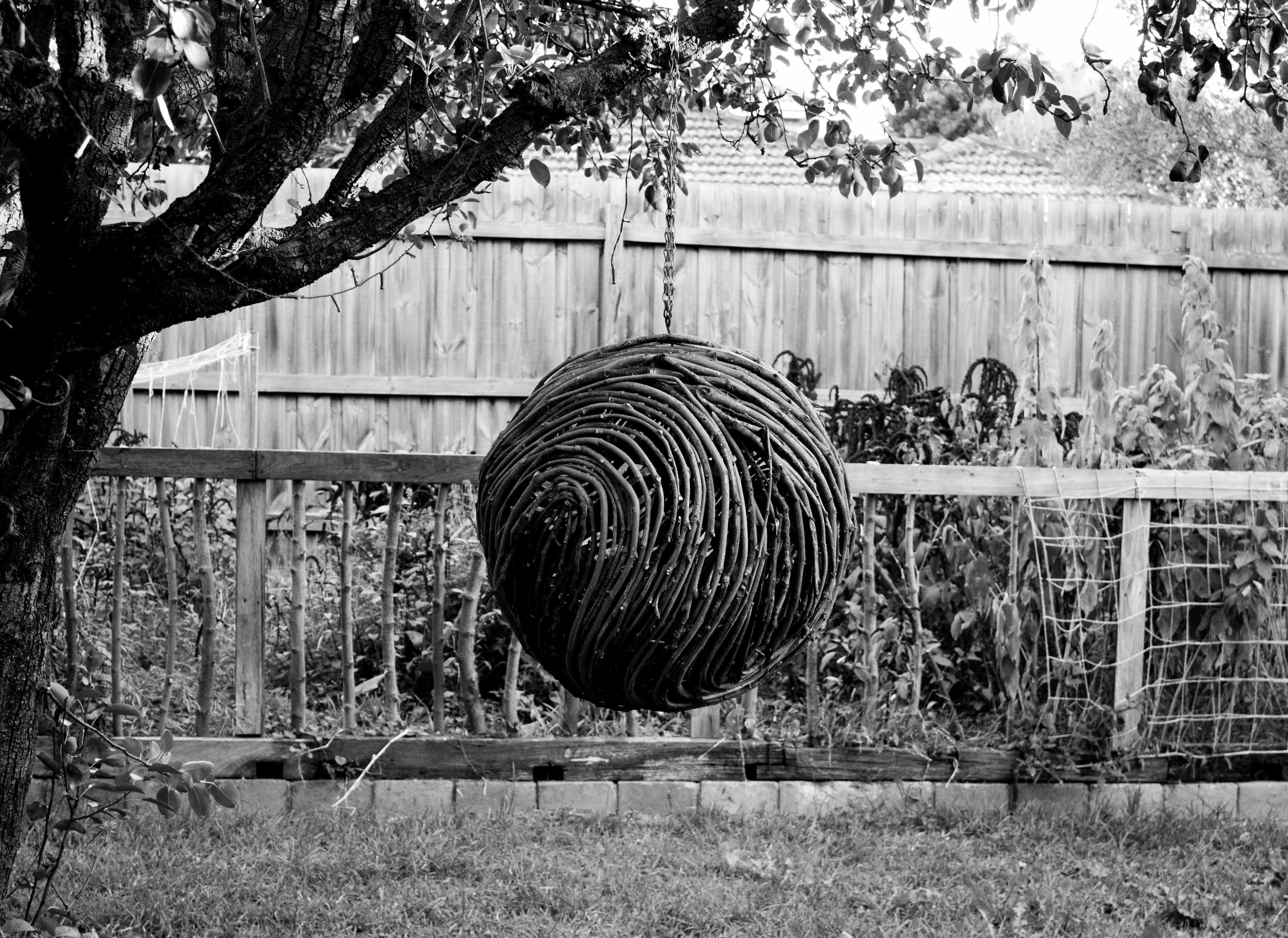 Sphere study, 2026, raw wood, plywood, 500 x 500 x 500mm
