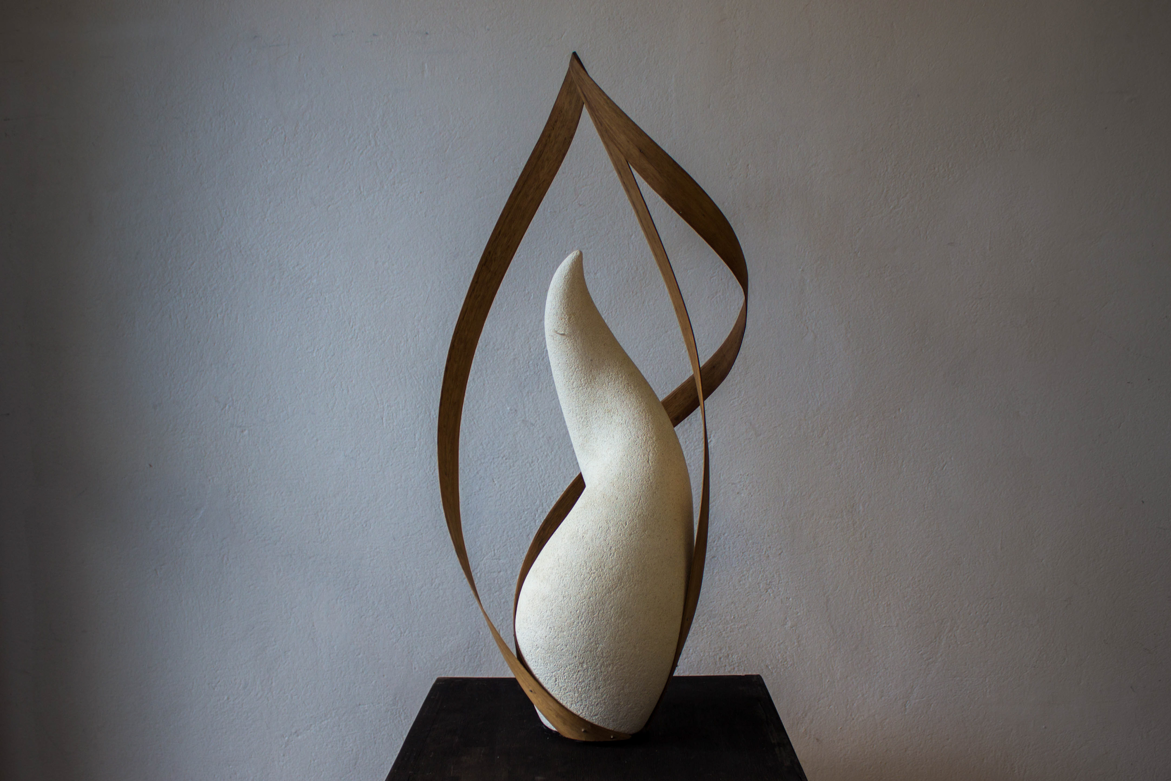 What was Once Alive, 2025, limestone, blackbutt, 600 x 200 x 330mm, Darcy Shilton