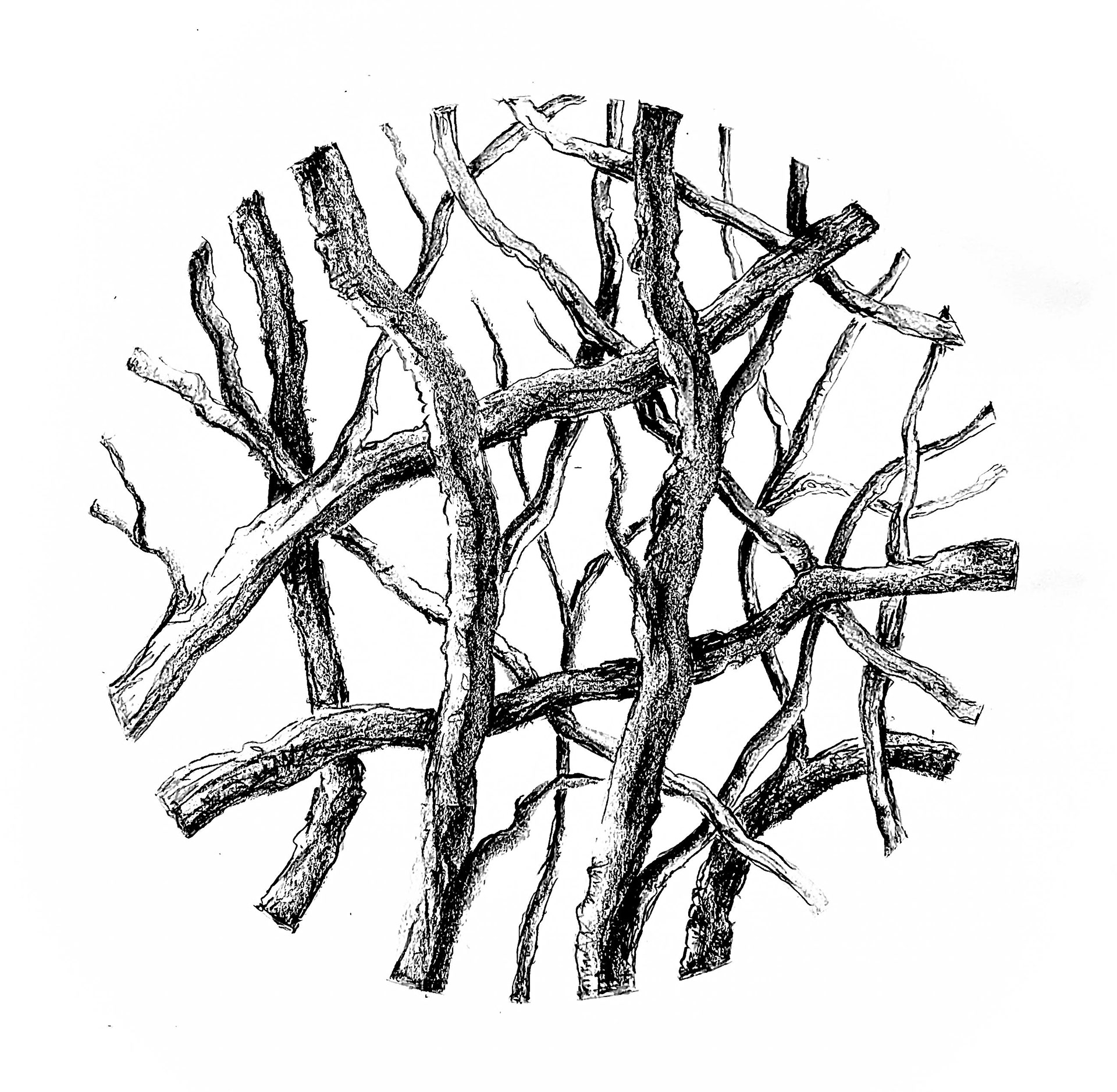 Circle Study, 2026, charcoal on paper, 200 x 200mm