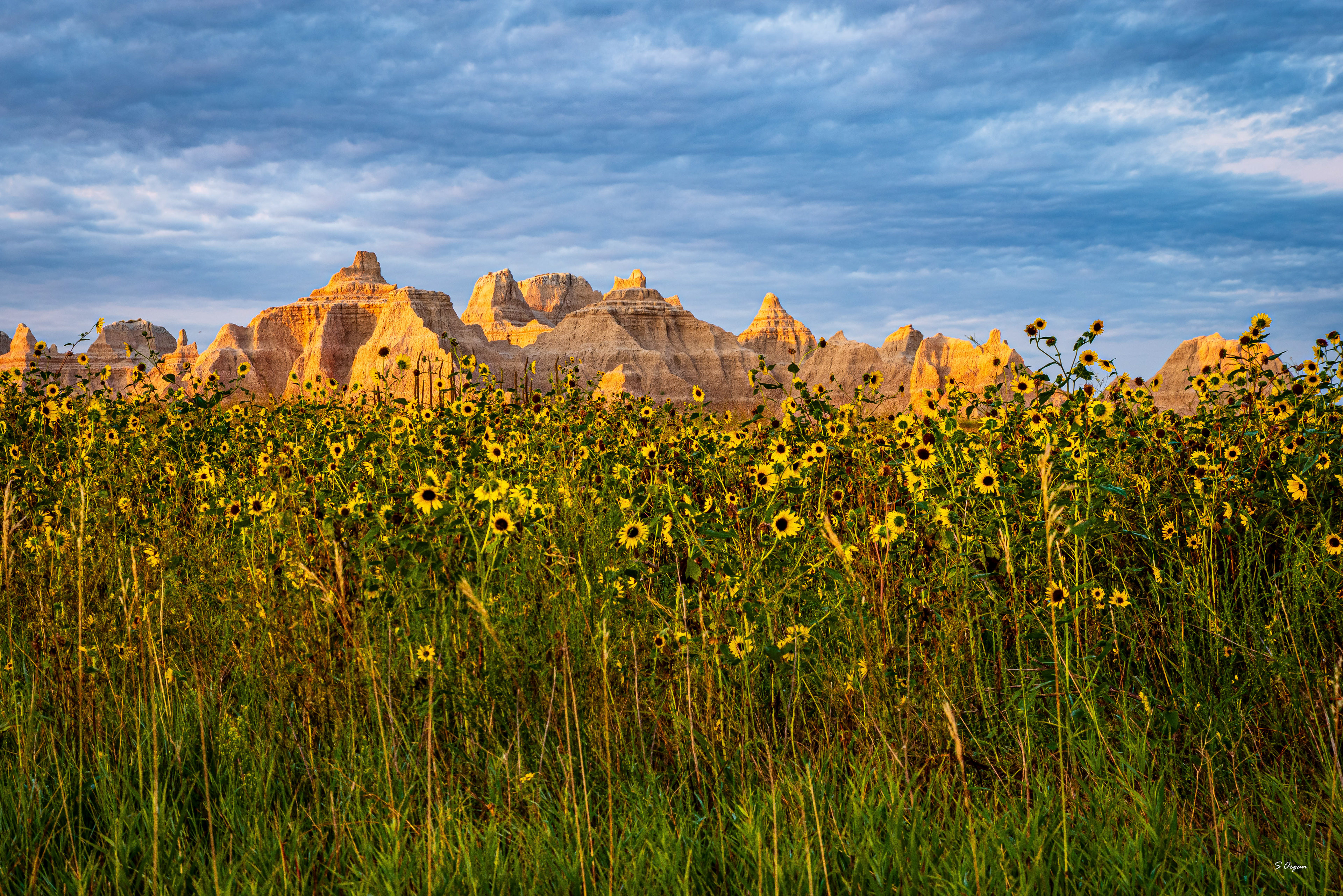 Badlands National Park