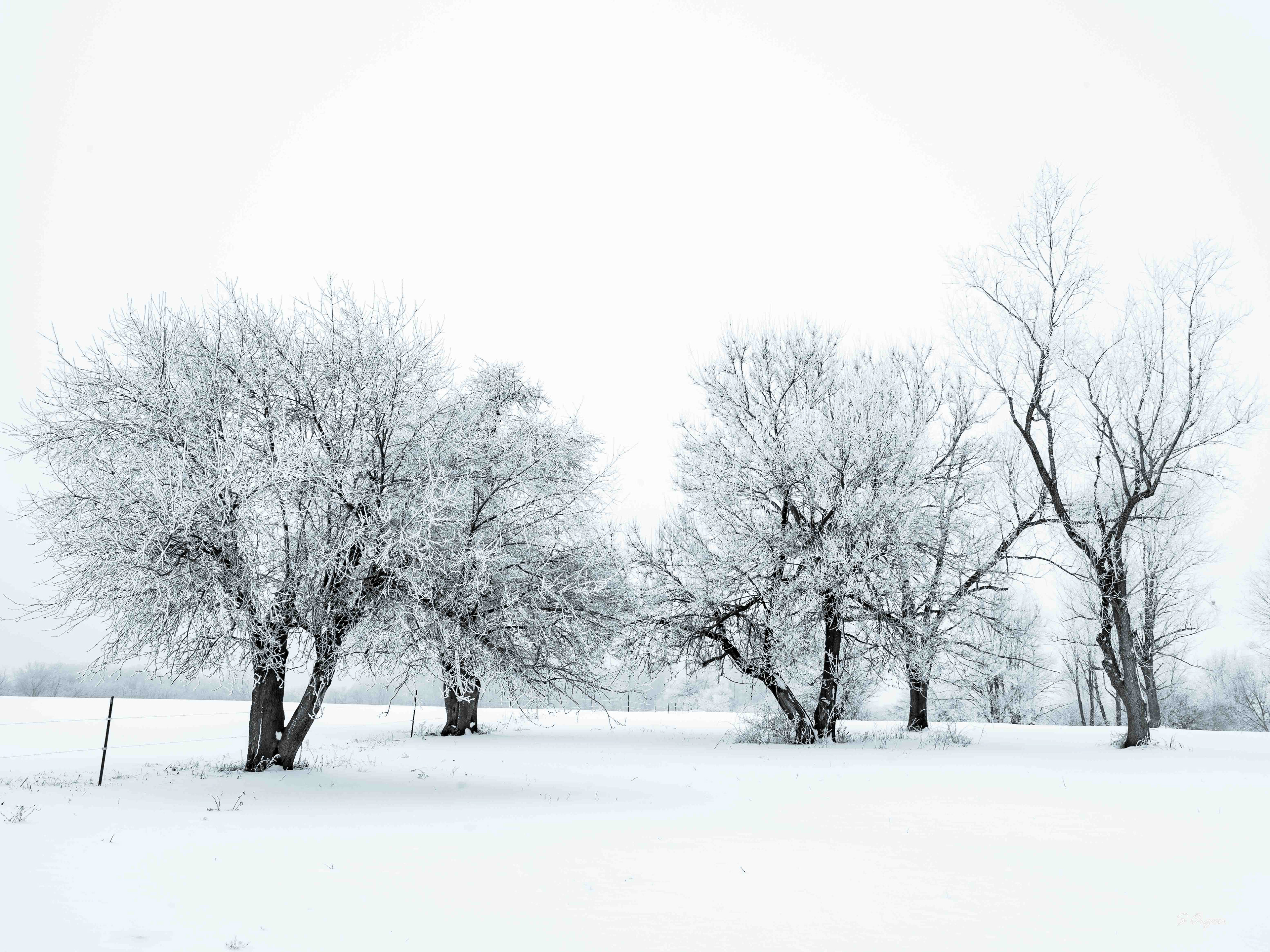 Pristine Winter Knox County