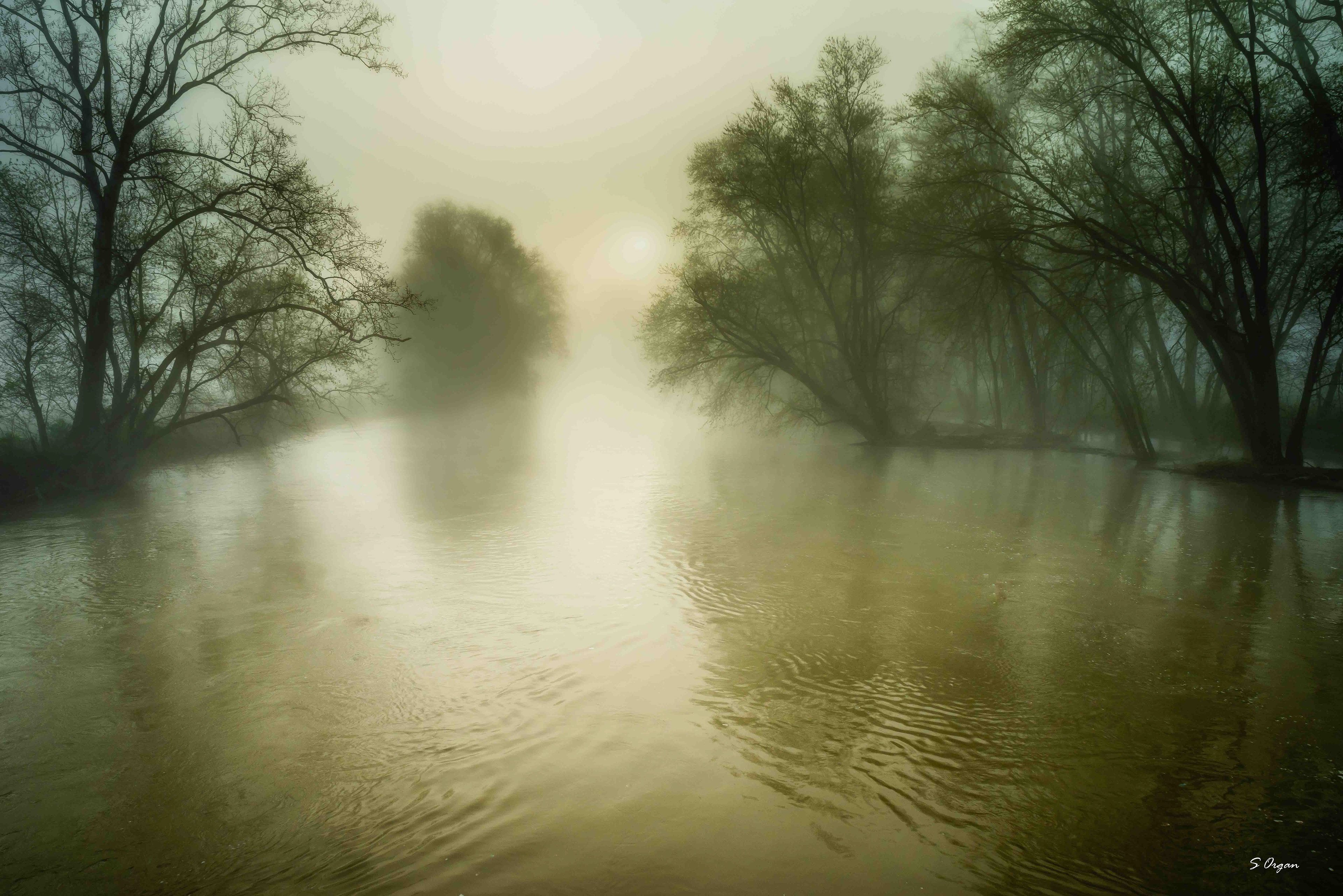 Foggy Morning Knox County