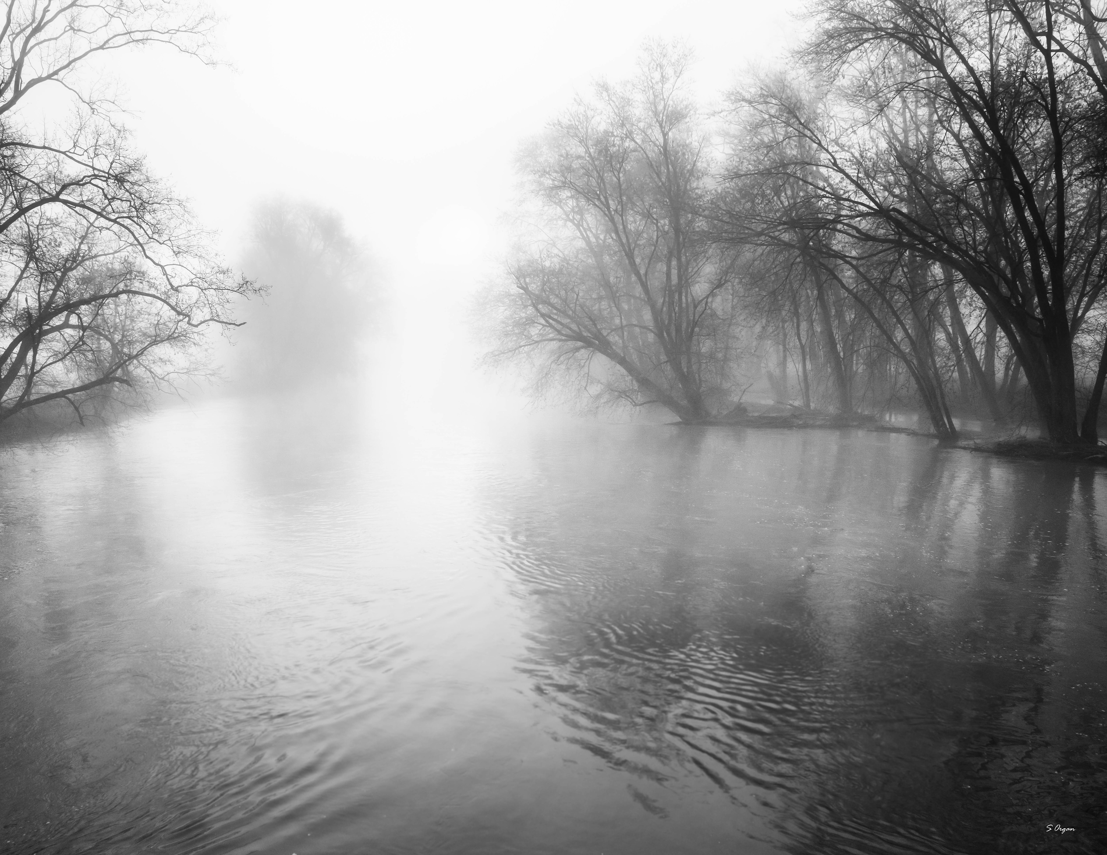 Foggy Morning Ohio