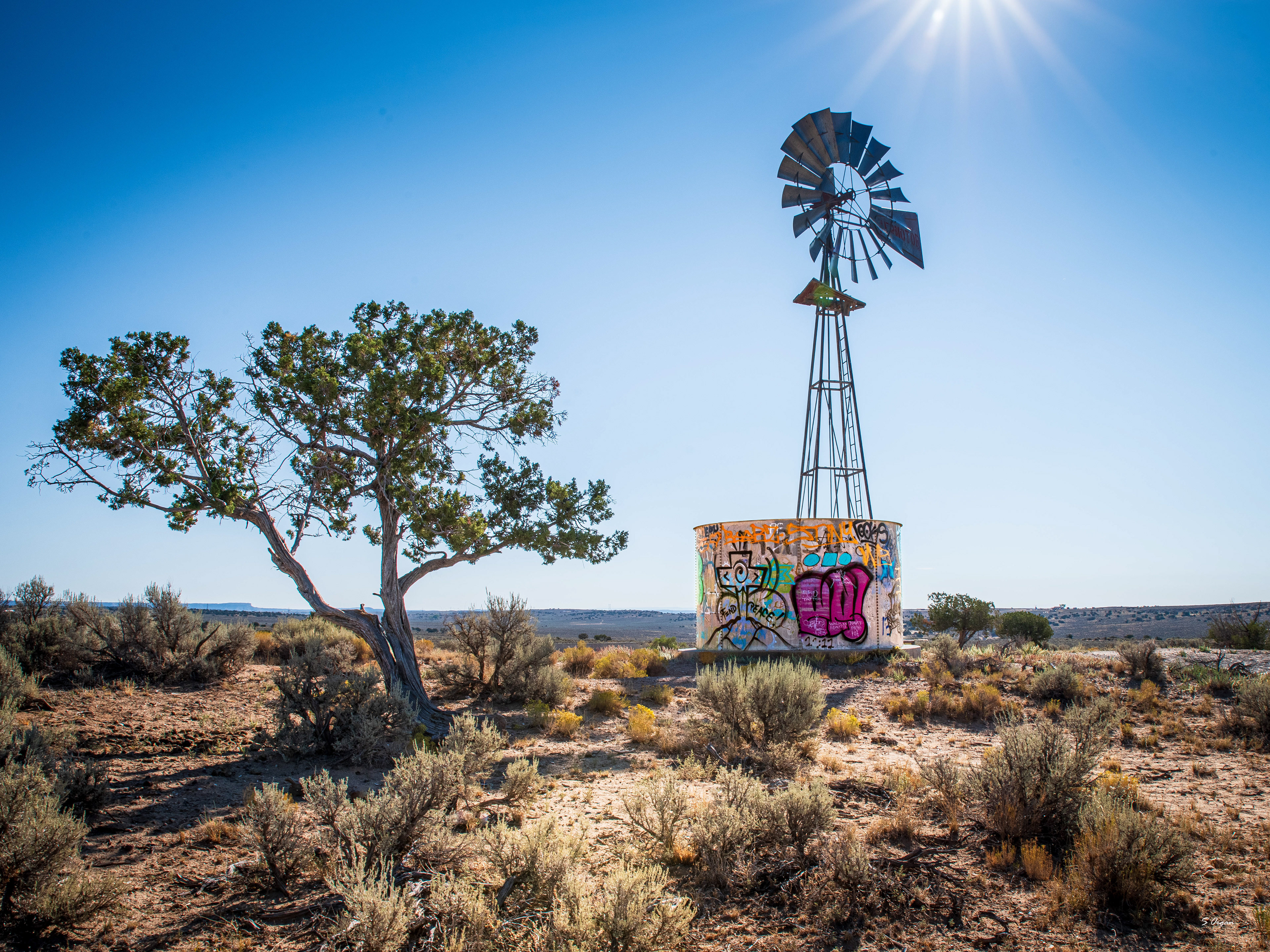 New Mexico