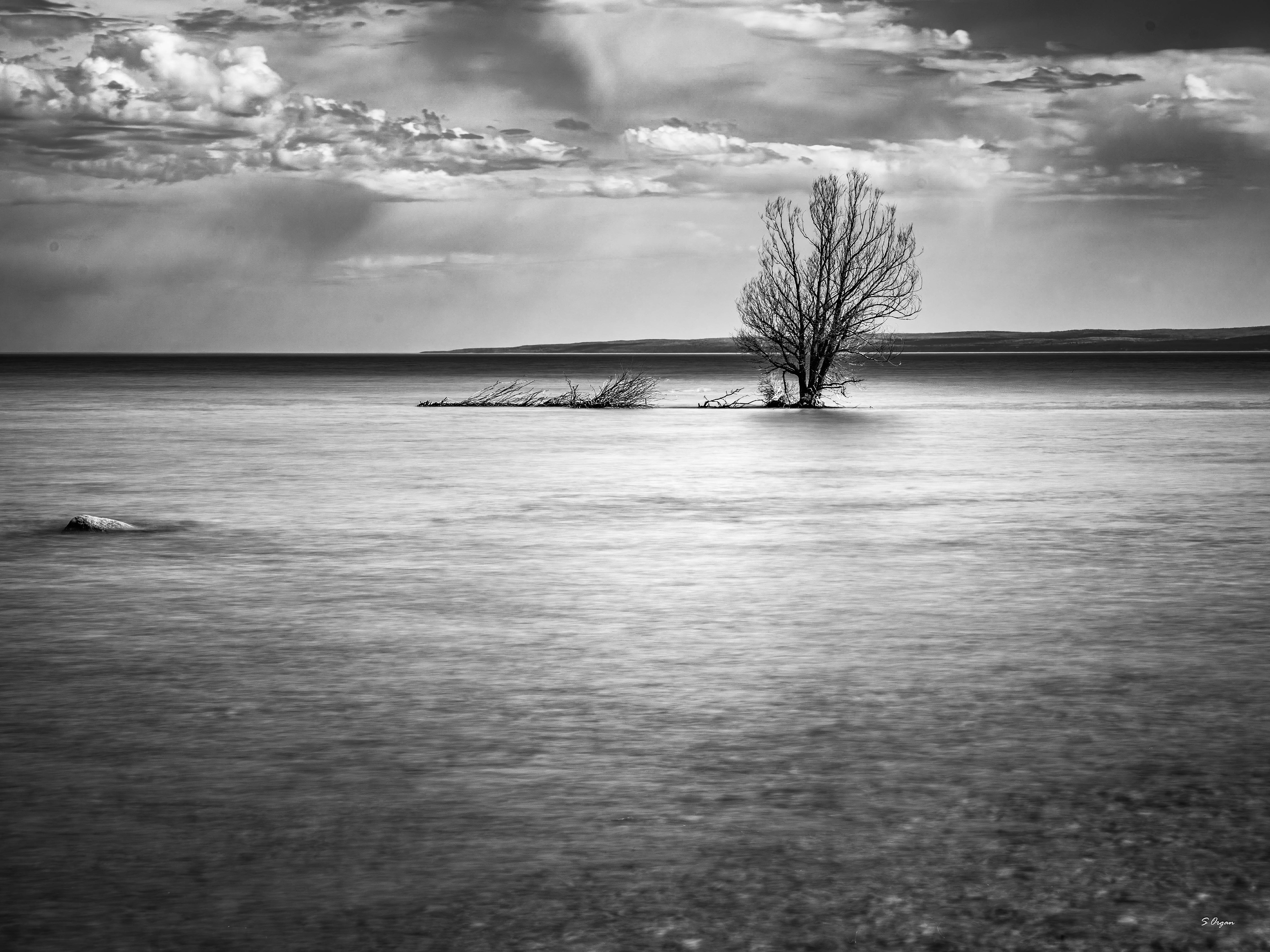 Lake Michigan Solitude