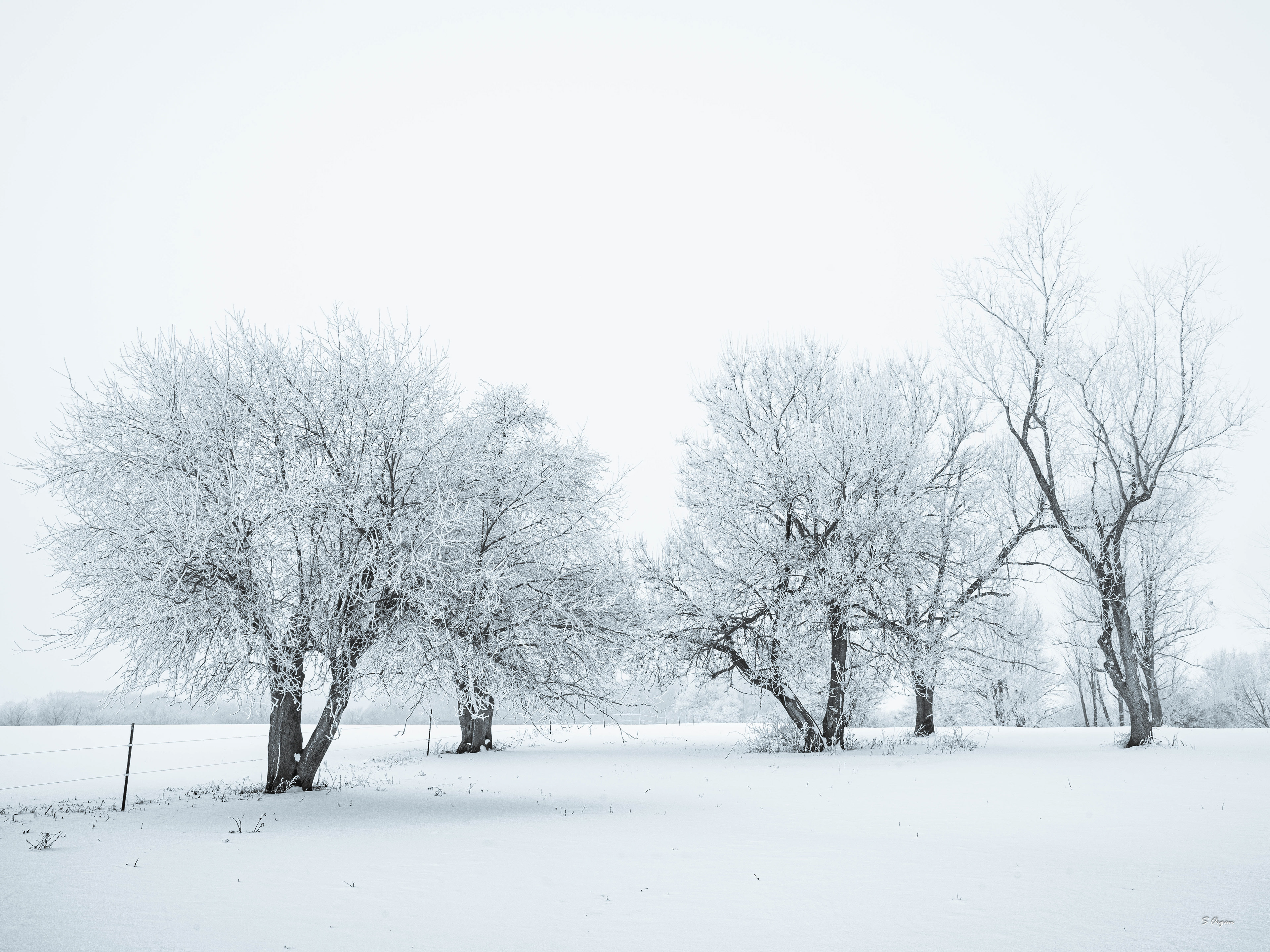 Winter Ohio