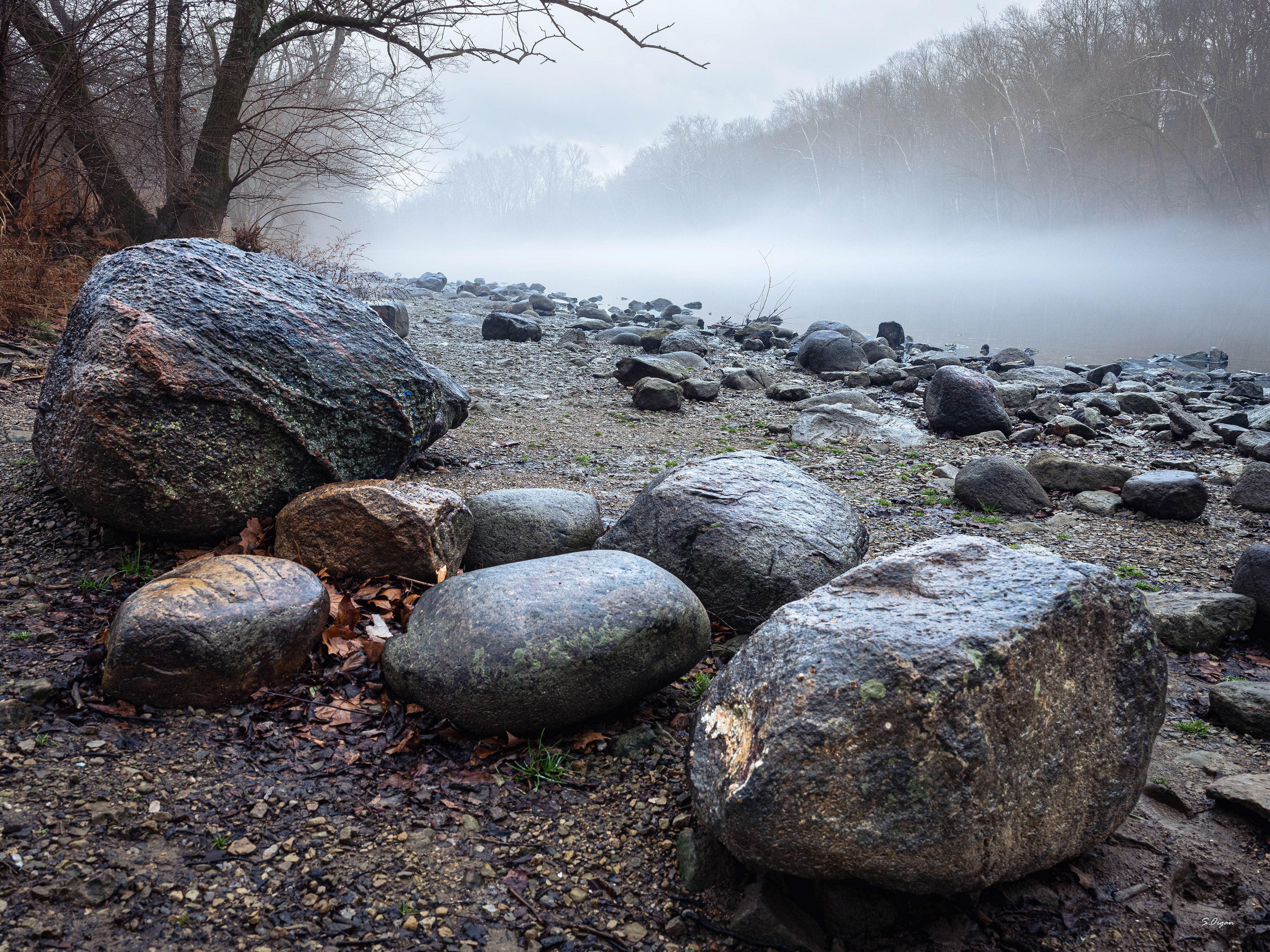 Foggy Morning Scioto River