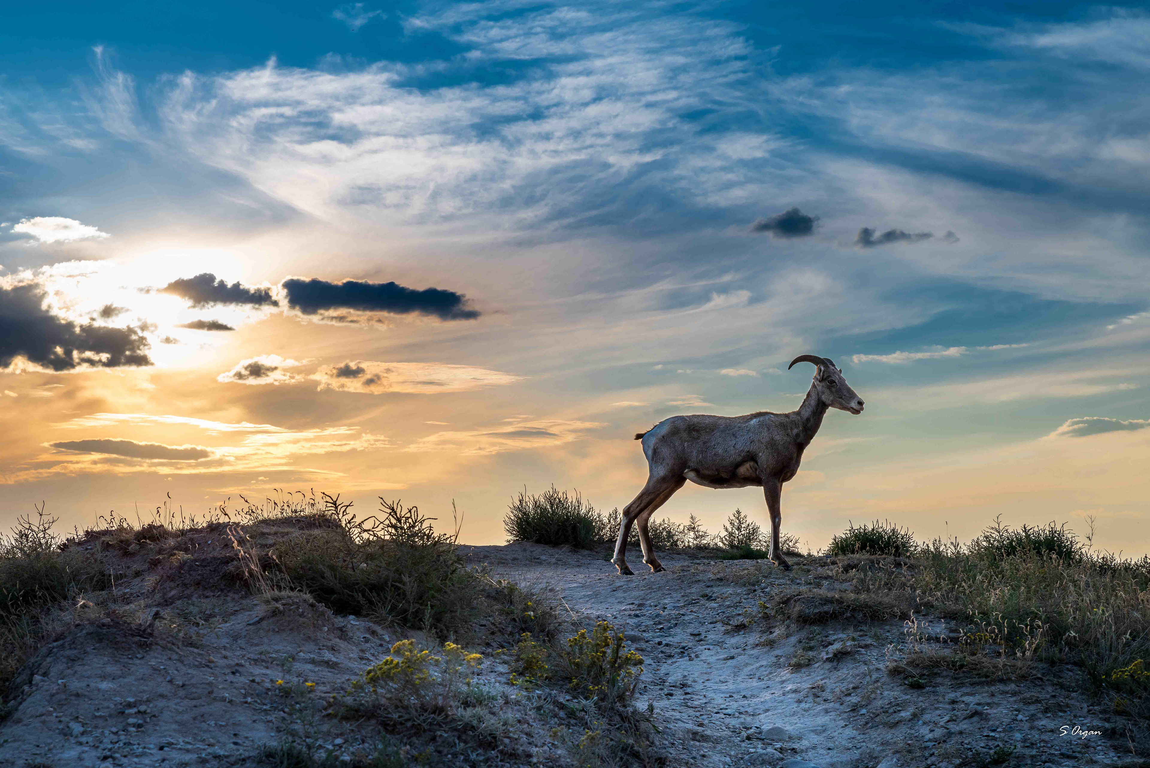 Badlands National Park