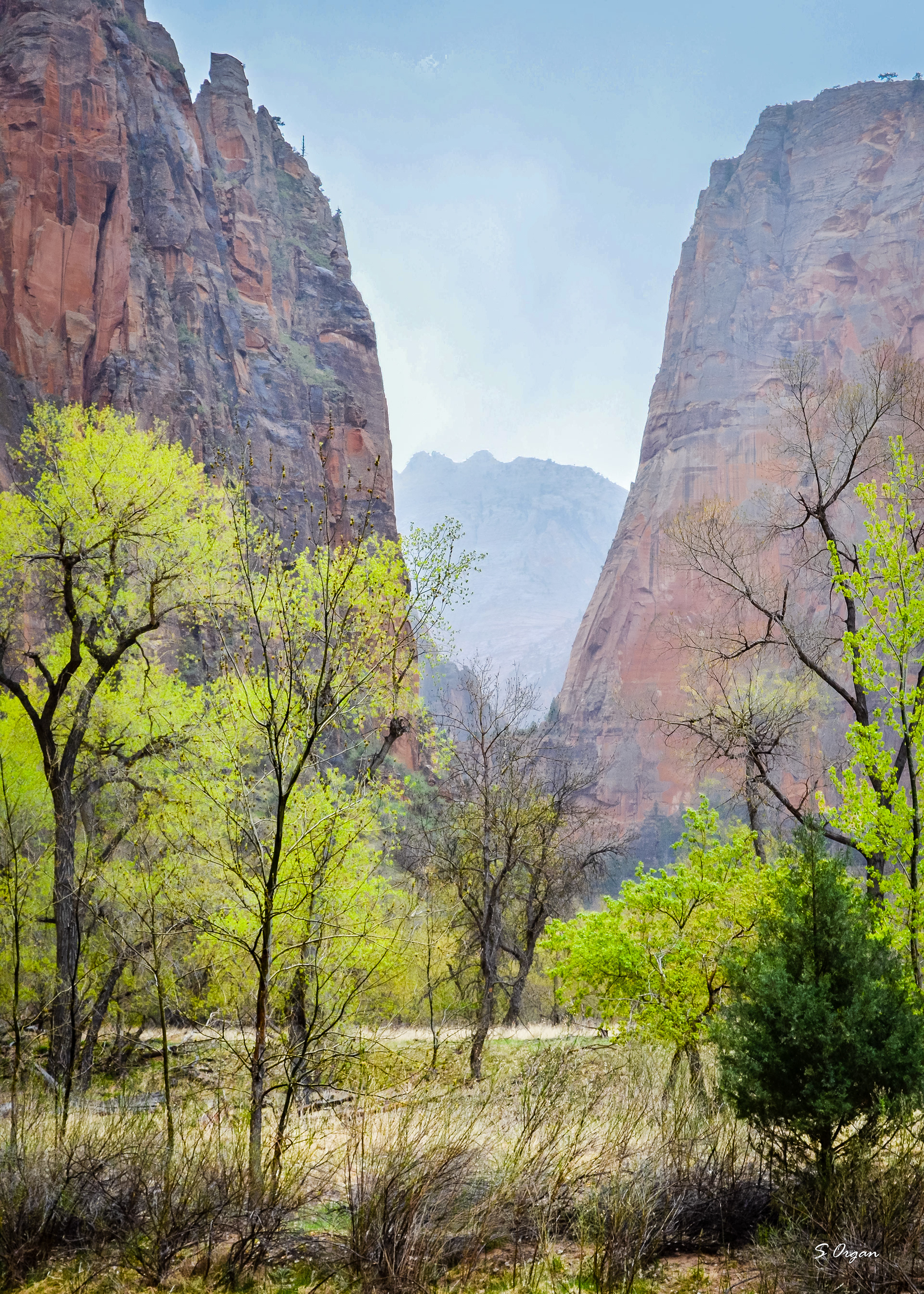 Zion National Park