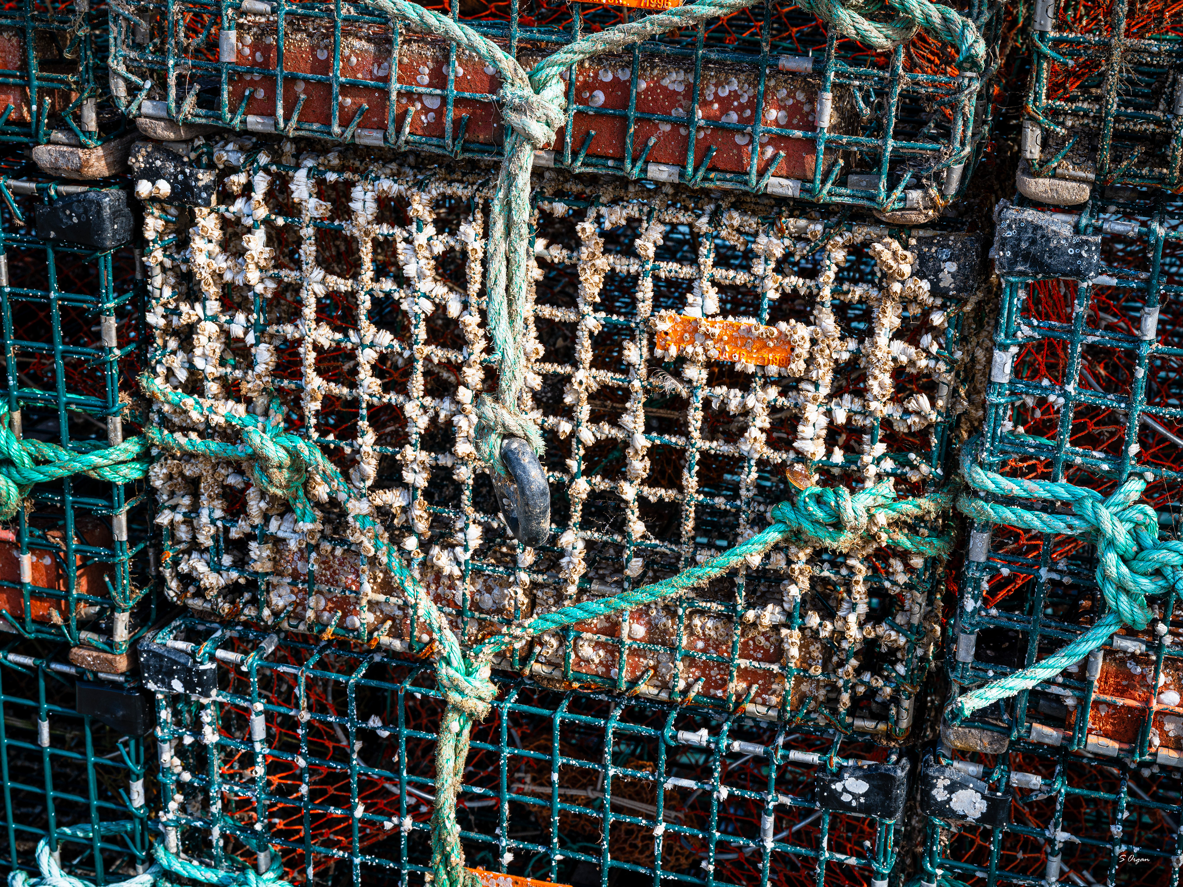 Lobster Trap Maine