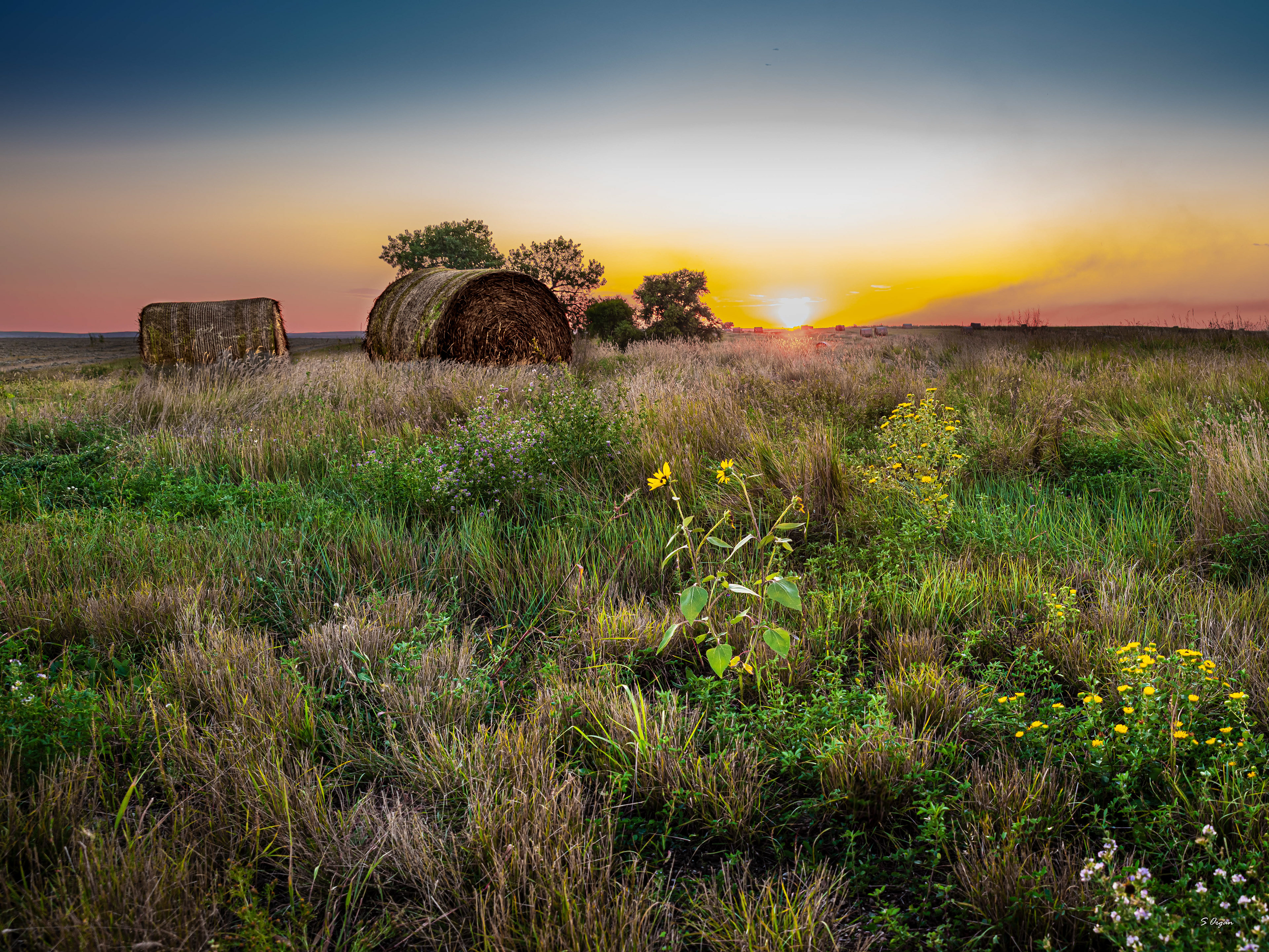 Sunset South Dakota