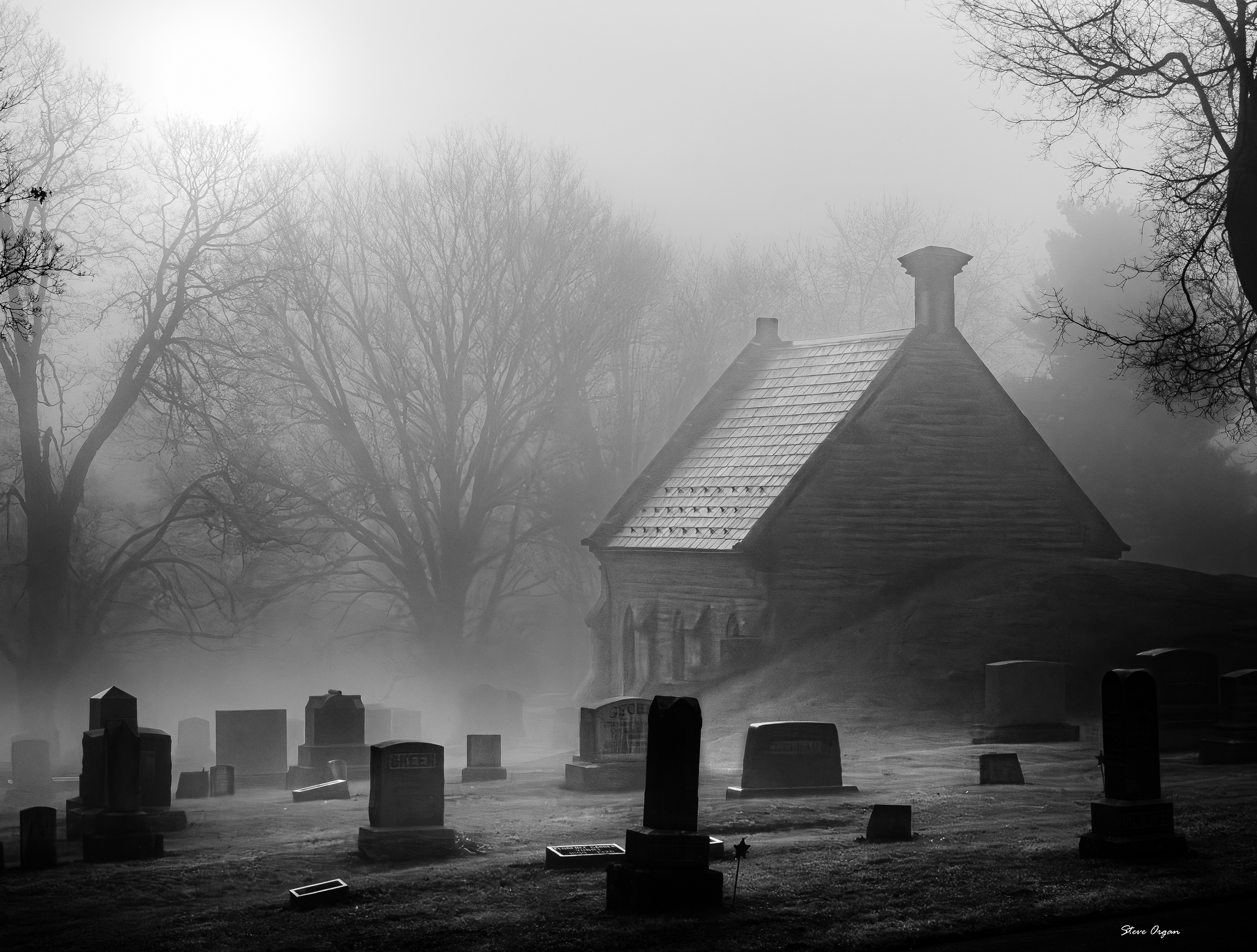 Morning in the Cemetery