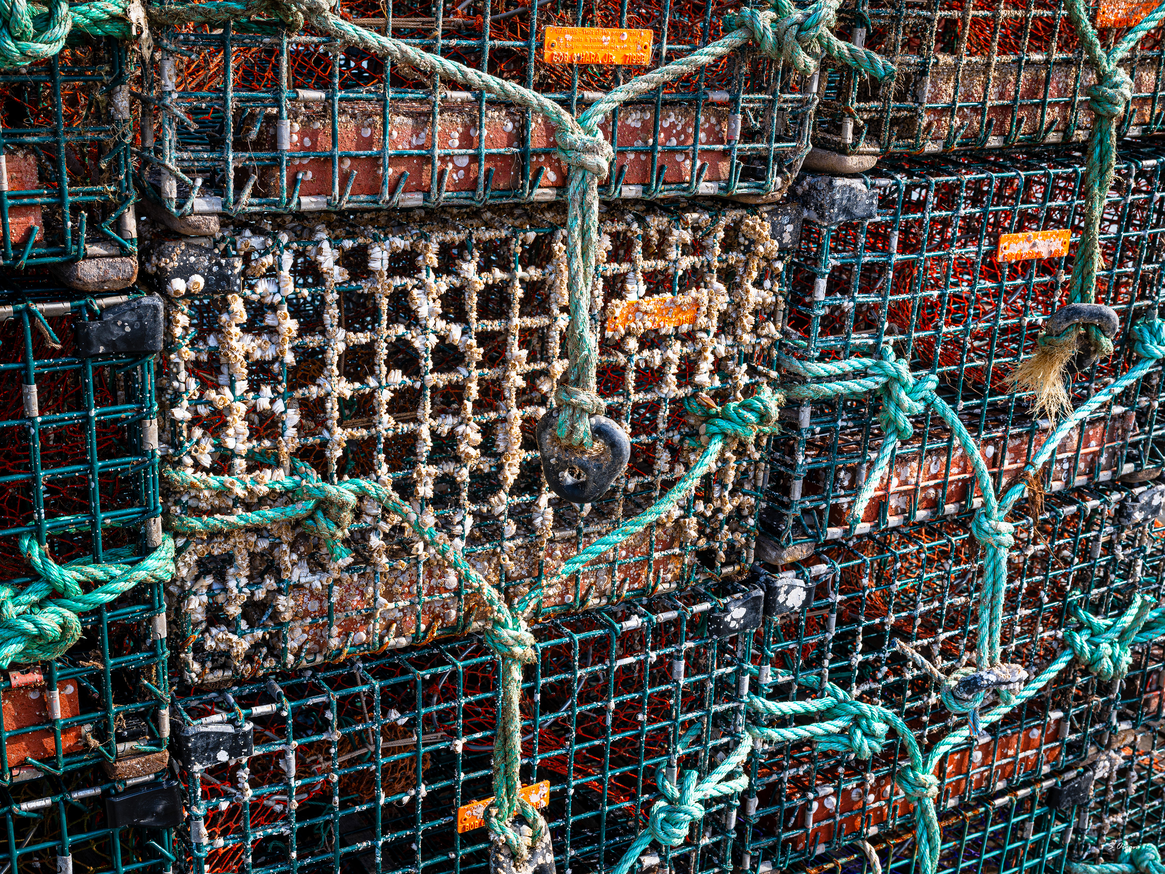 Lobster Traps, Maine