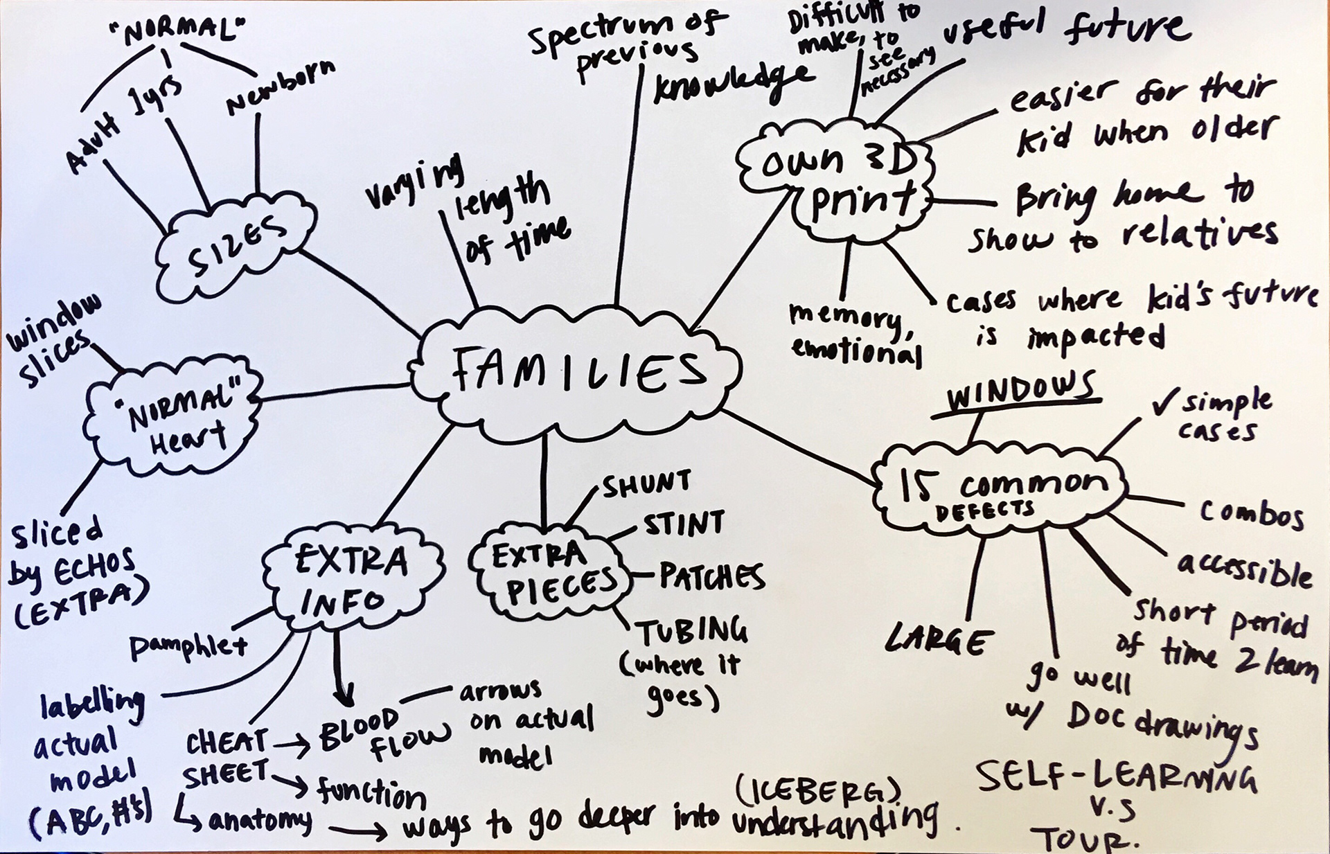 Mindmapping the needs, wants, and desires for 3D printed hearts for families.