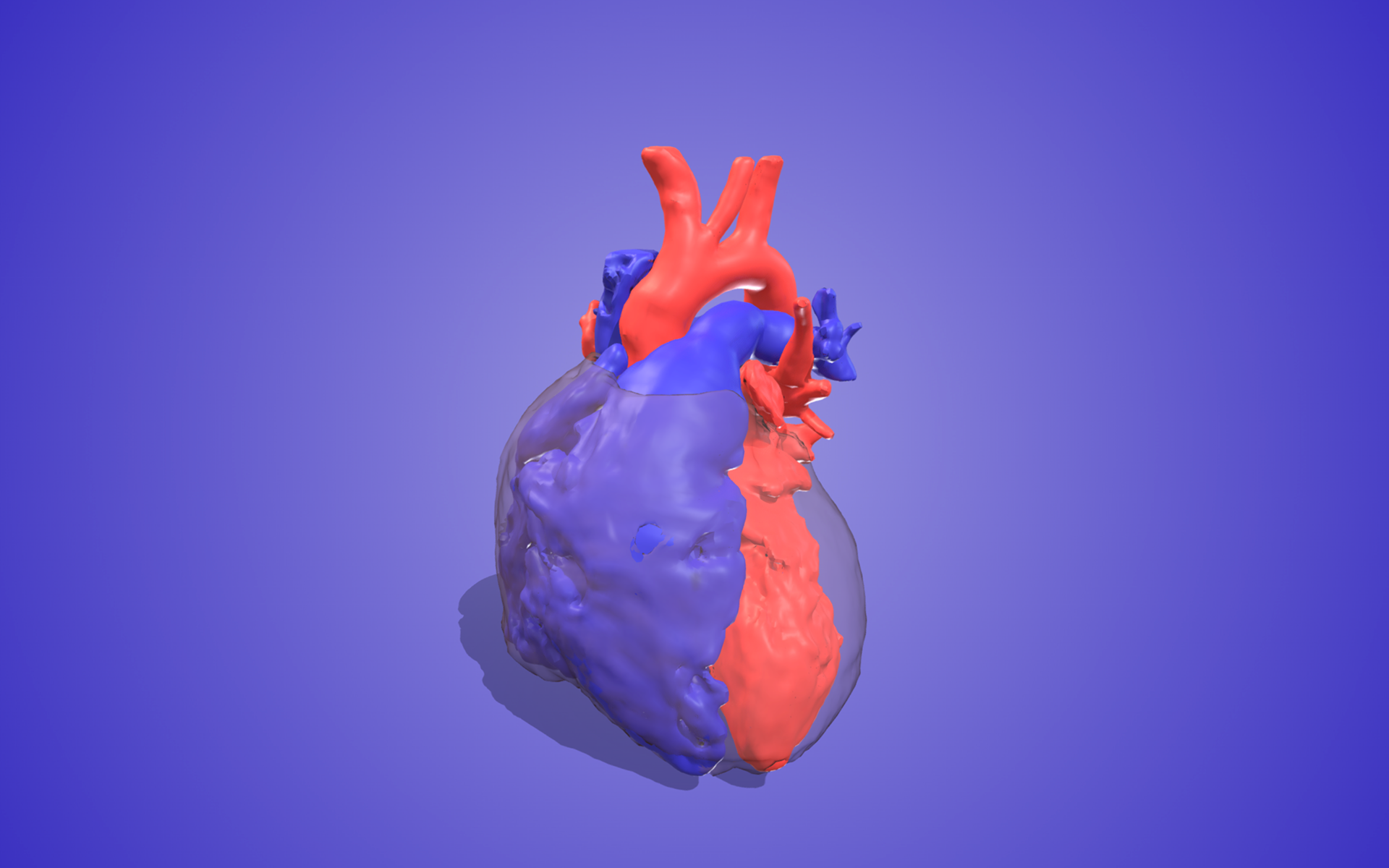 A normal teenage heart.