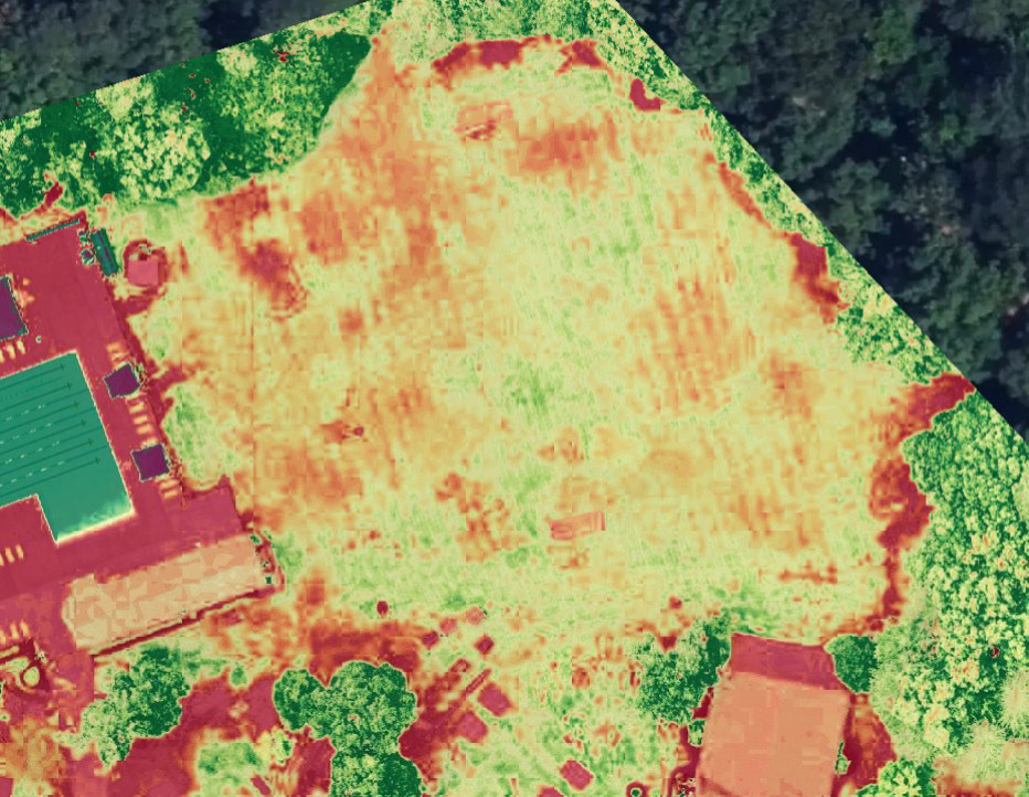 Plant Health Analysis