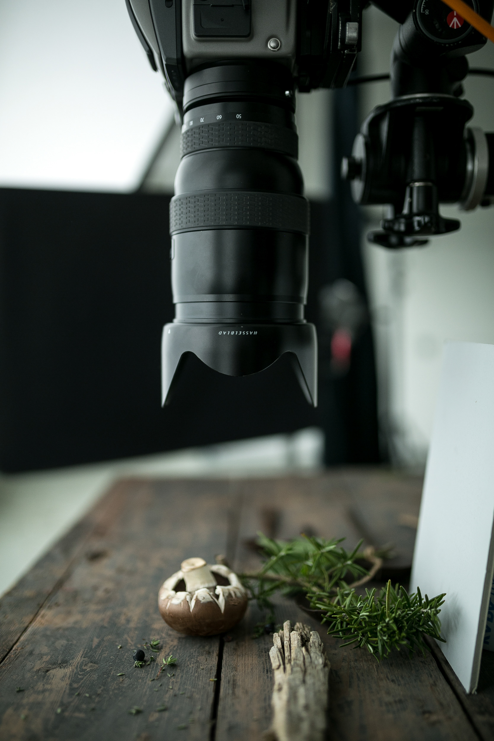 #macro #bts