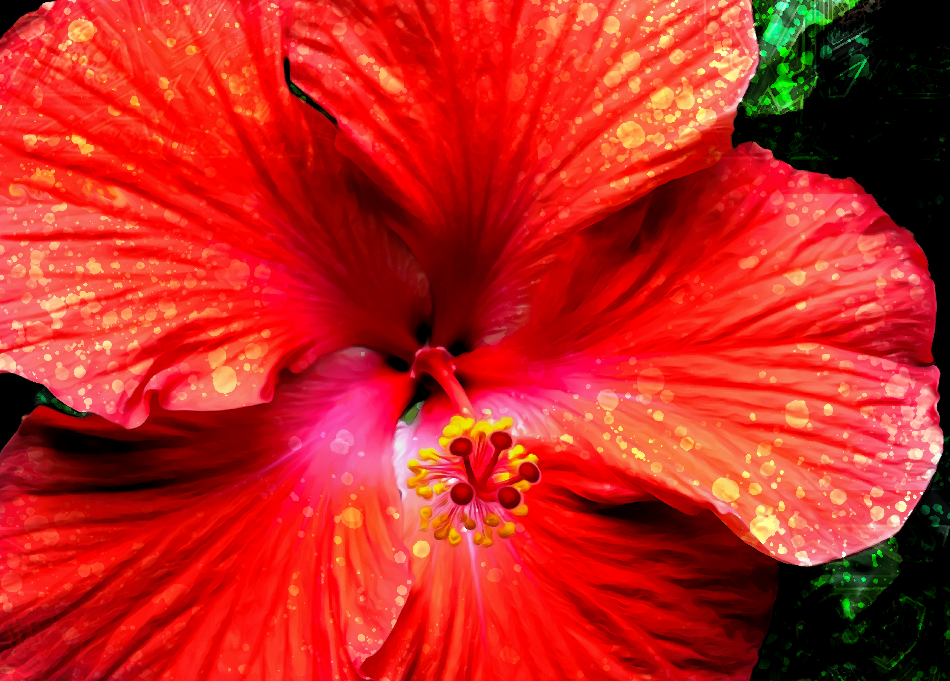 Floral Photo Edited for Resort Company's Website