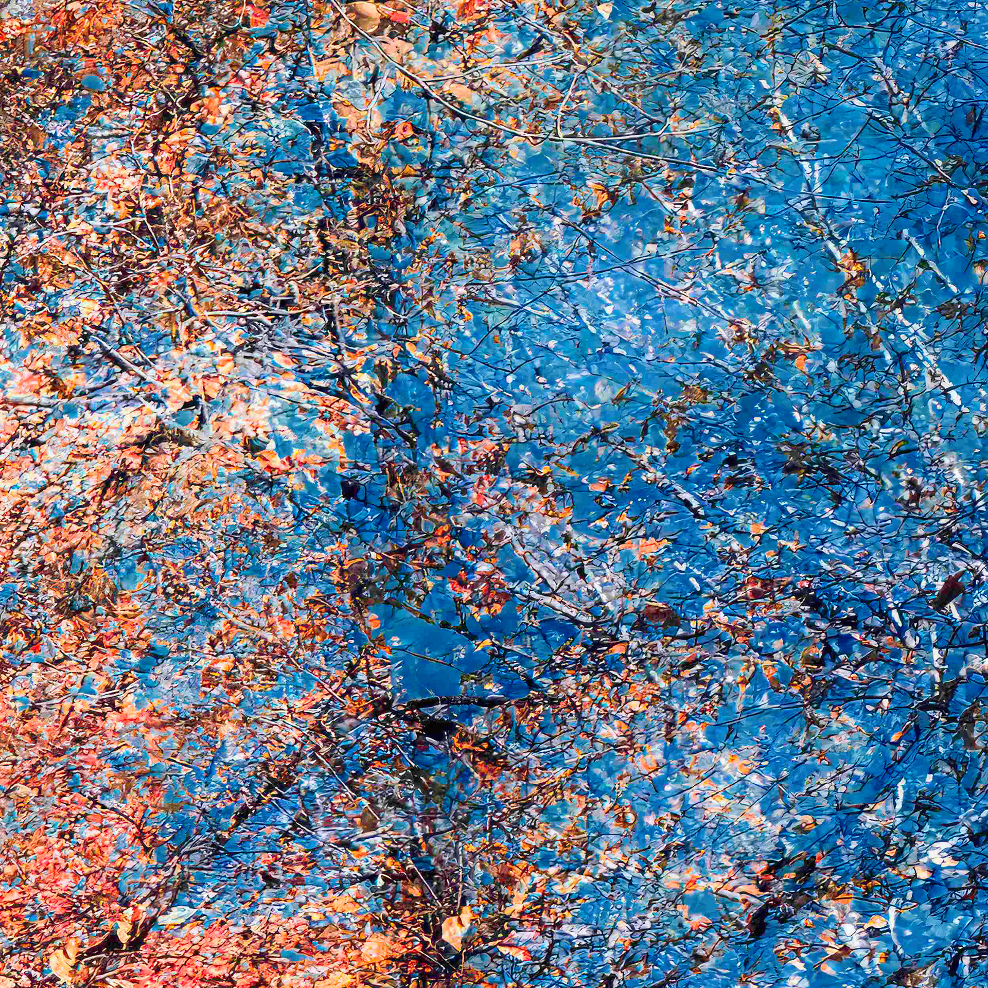 Detail