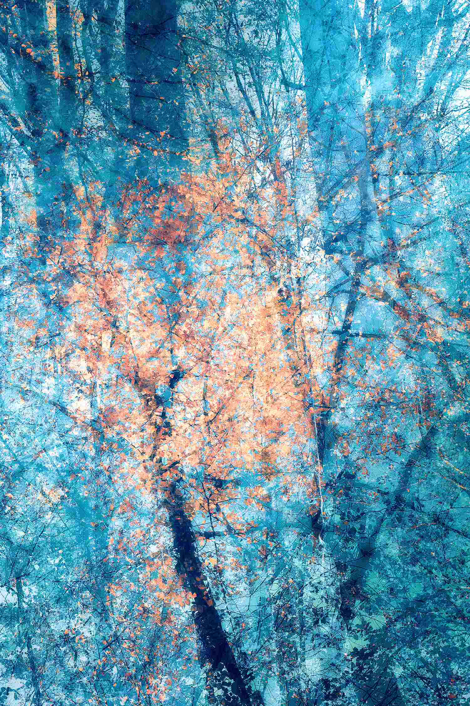 Abstract forest photography in green and blue tones: breath and movement expressed through a soft blur of trunks, light, and foliage.