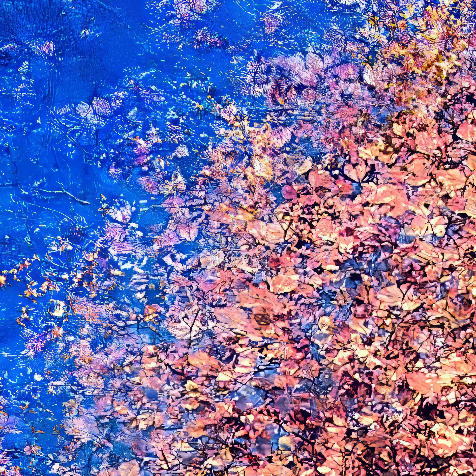 Detail