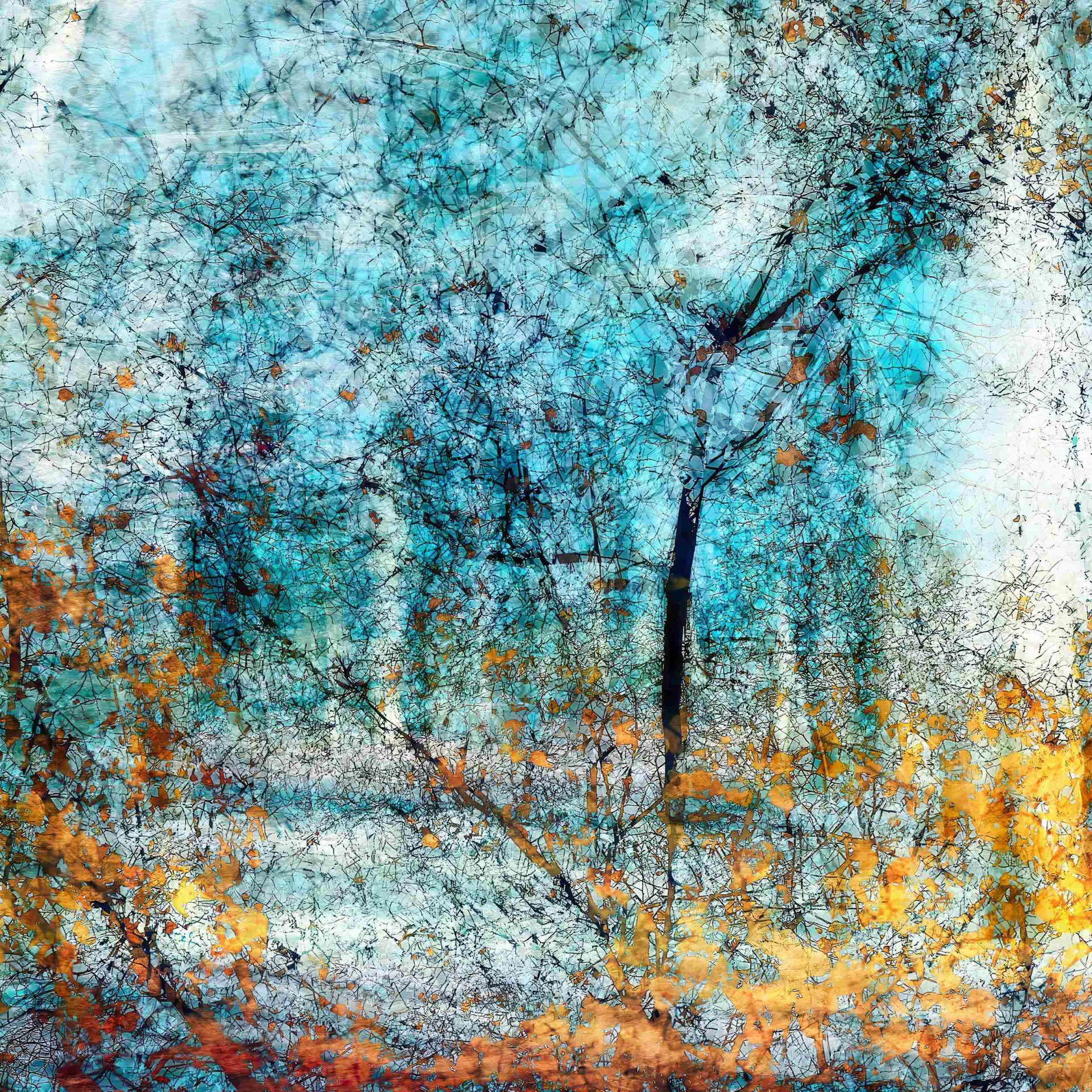 Between Worlds VI fine art photography. Mystical tree silhouettes merging into a fluid, otherworldly stream of light and color, unique in-camera ICM landscape.