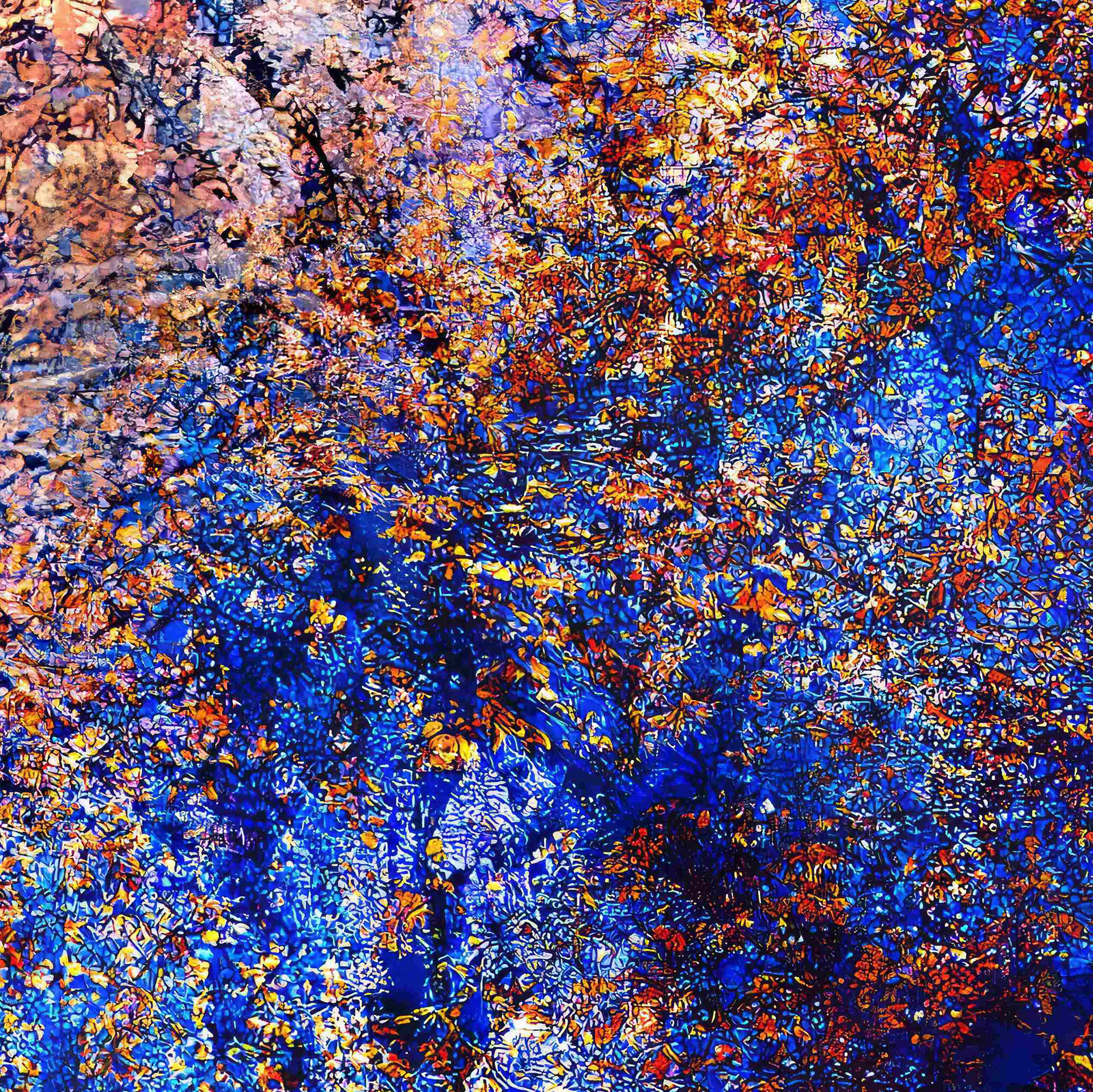 Detail
