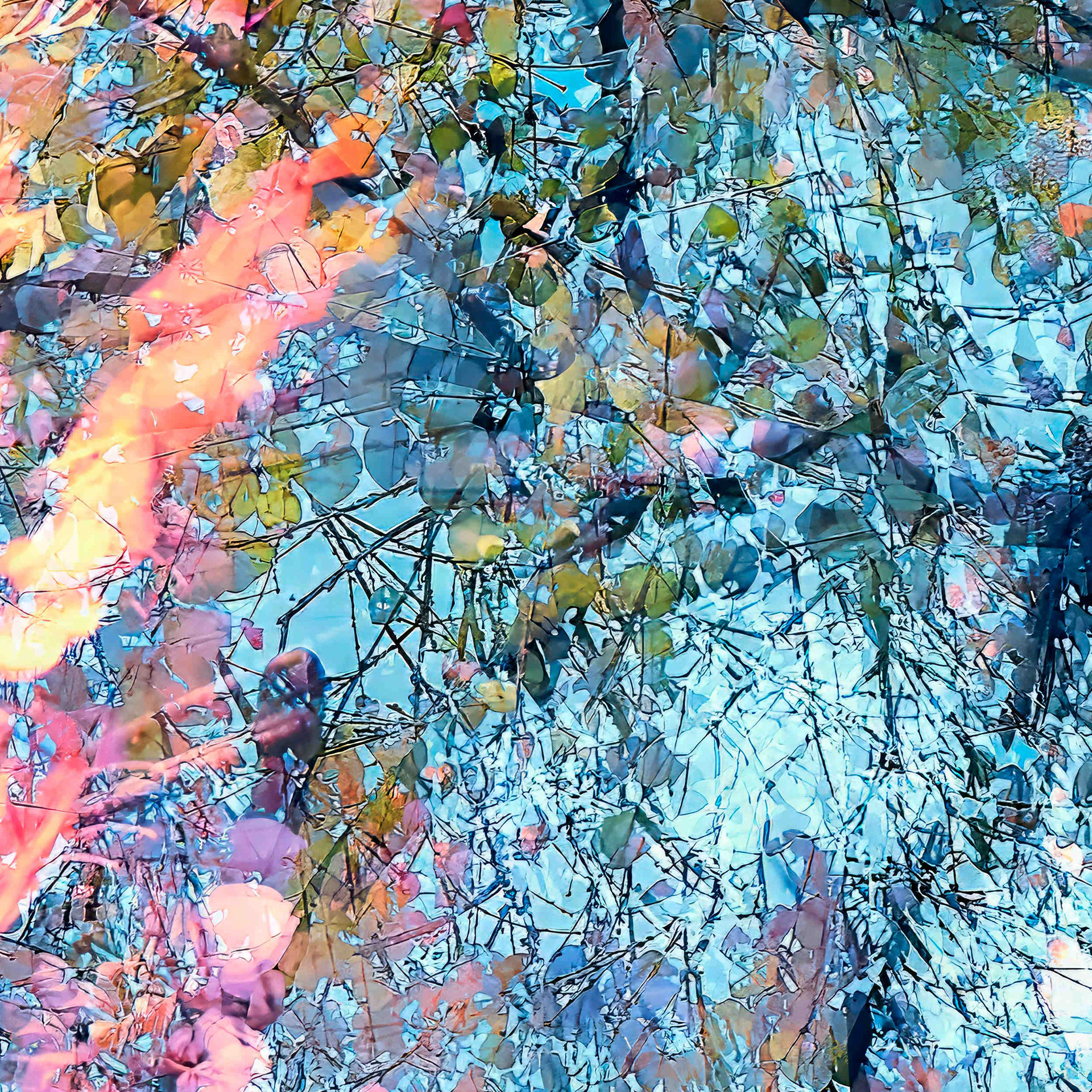 Detail