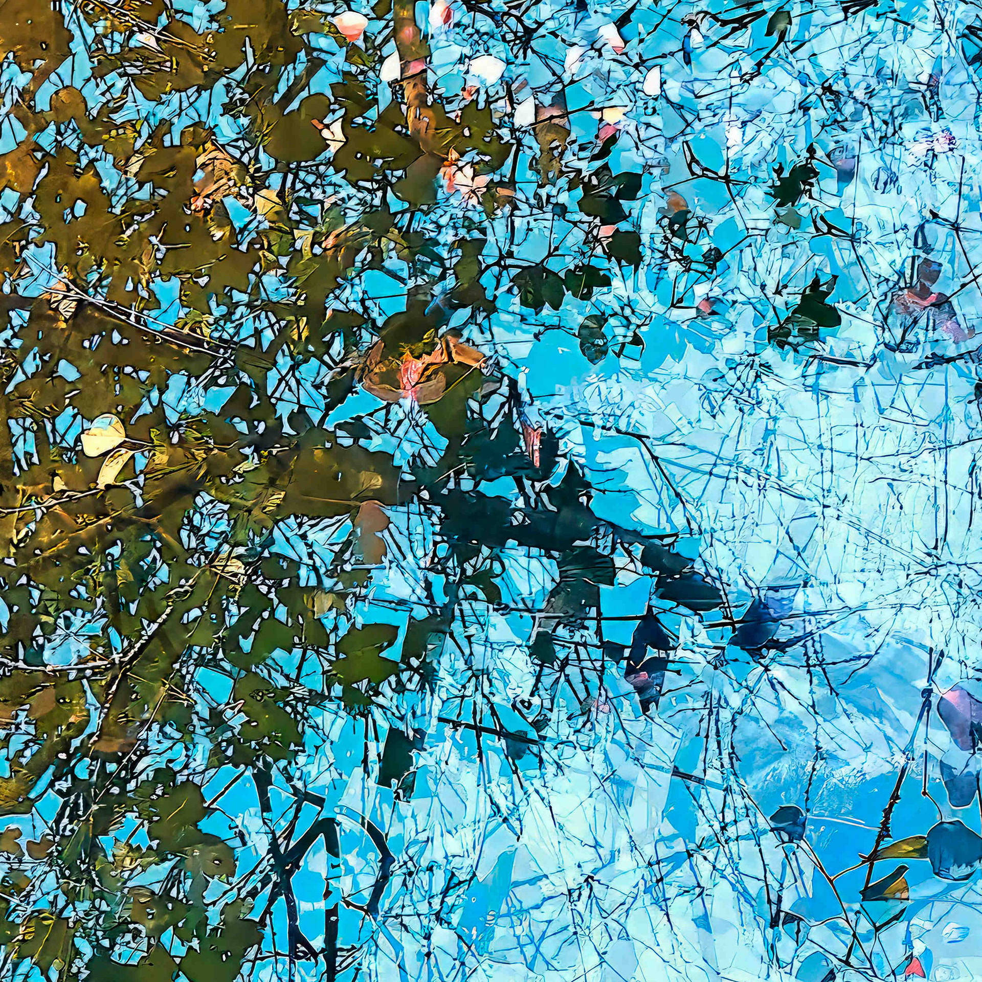 Detail