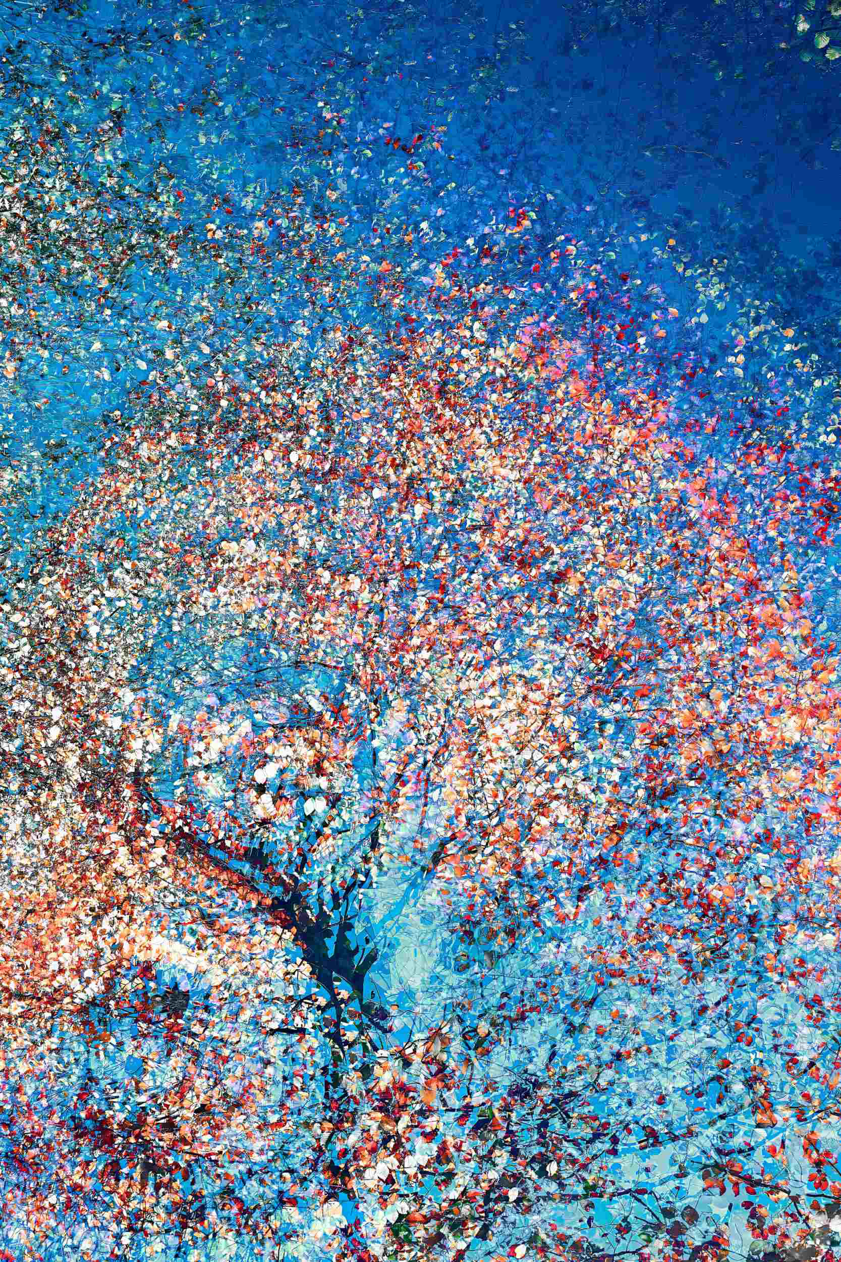 A study of natural form as an expressive, living architecture, Oleksandr Shapovalov