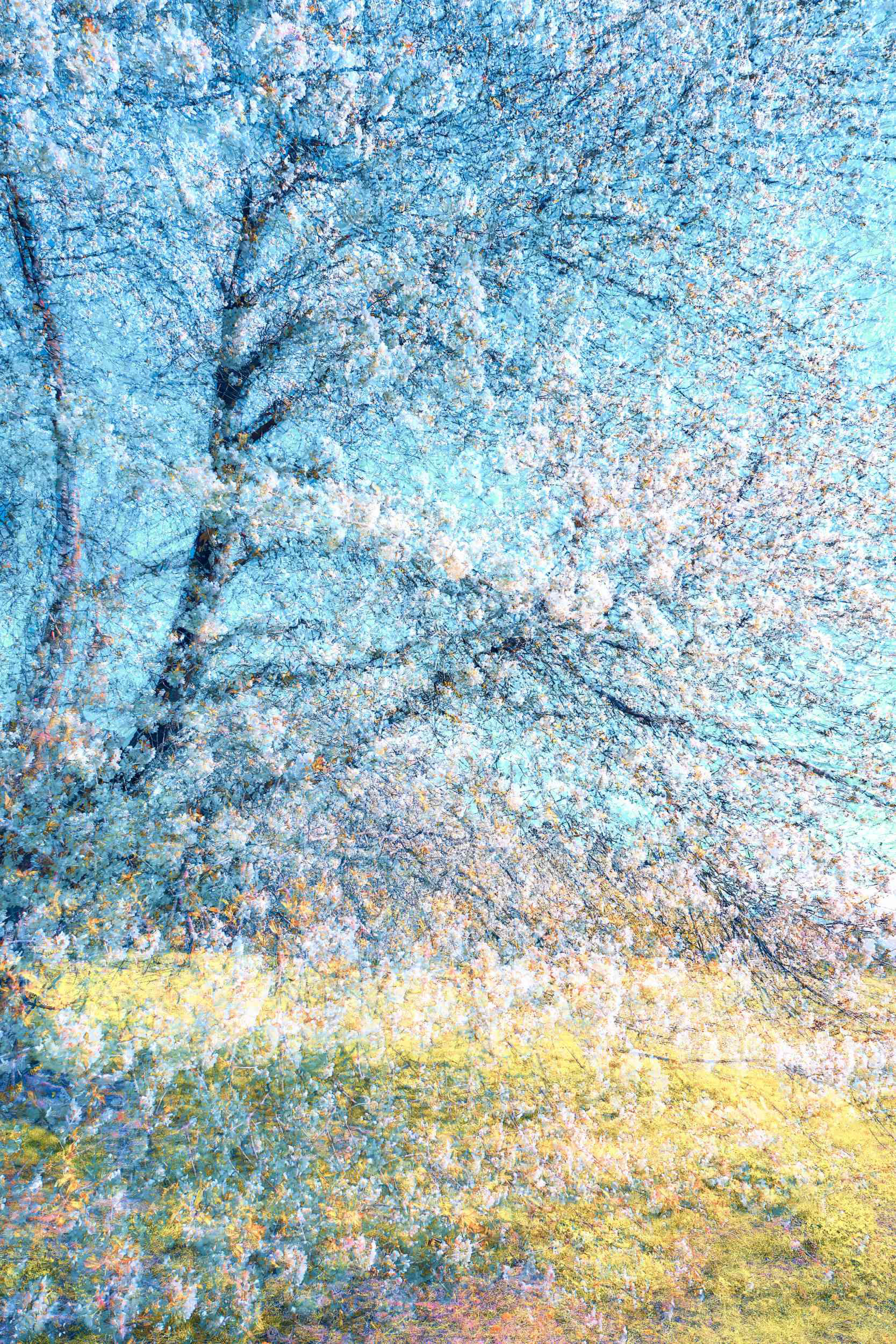 Poetic woodland scene where tree outlines blur into a dreamlike blue atmosphere, Nature Inspired Art for mindful contemplation.