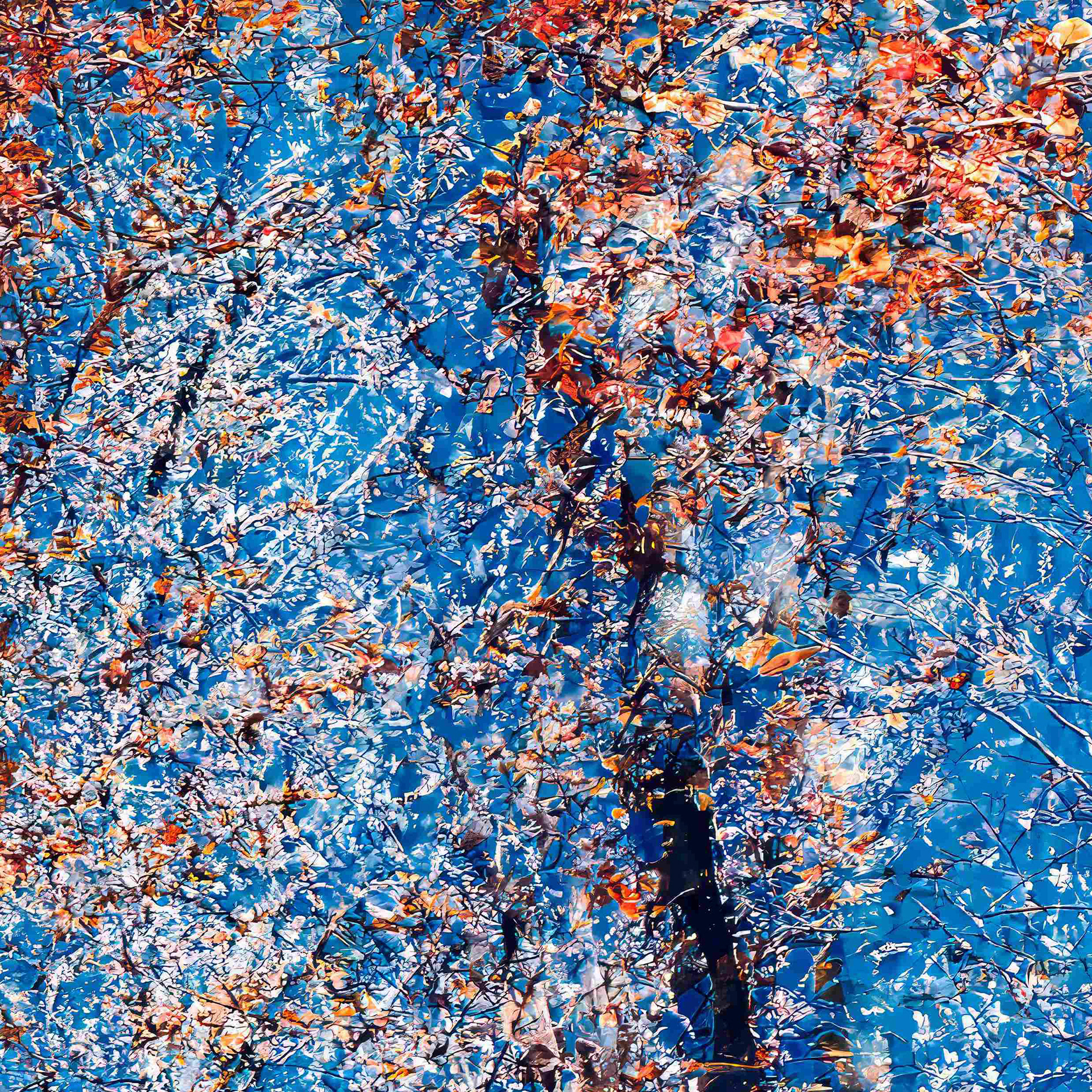 Detail
