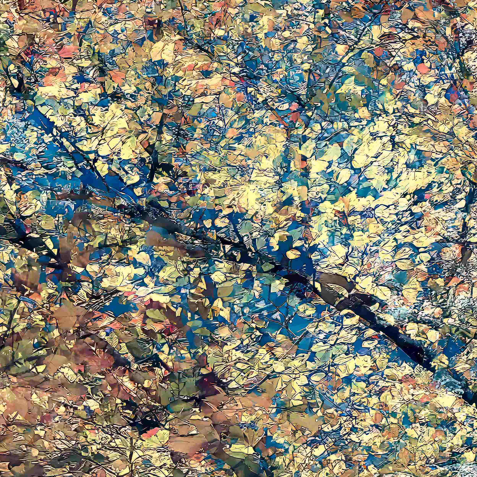 Detail