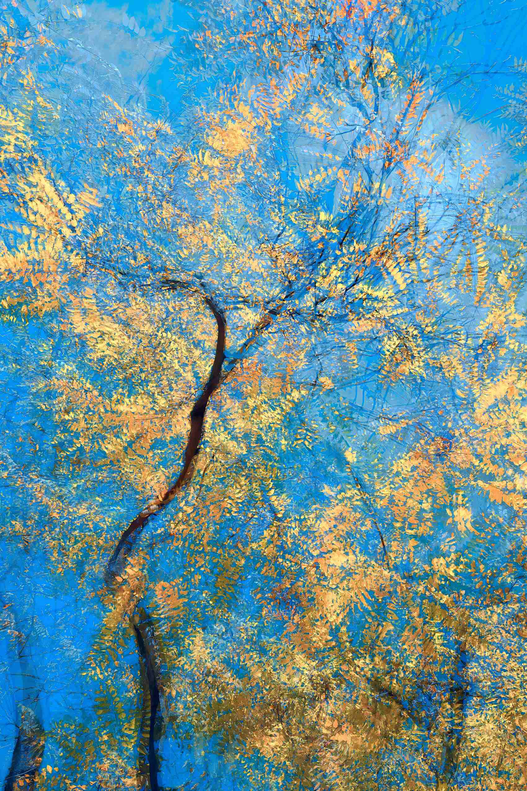 Poetic autumn image with vibrant foliage and dynamic composition. Part of Oleksandr’s “Breath of Branches” collection.