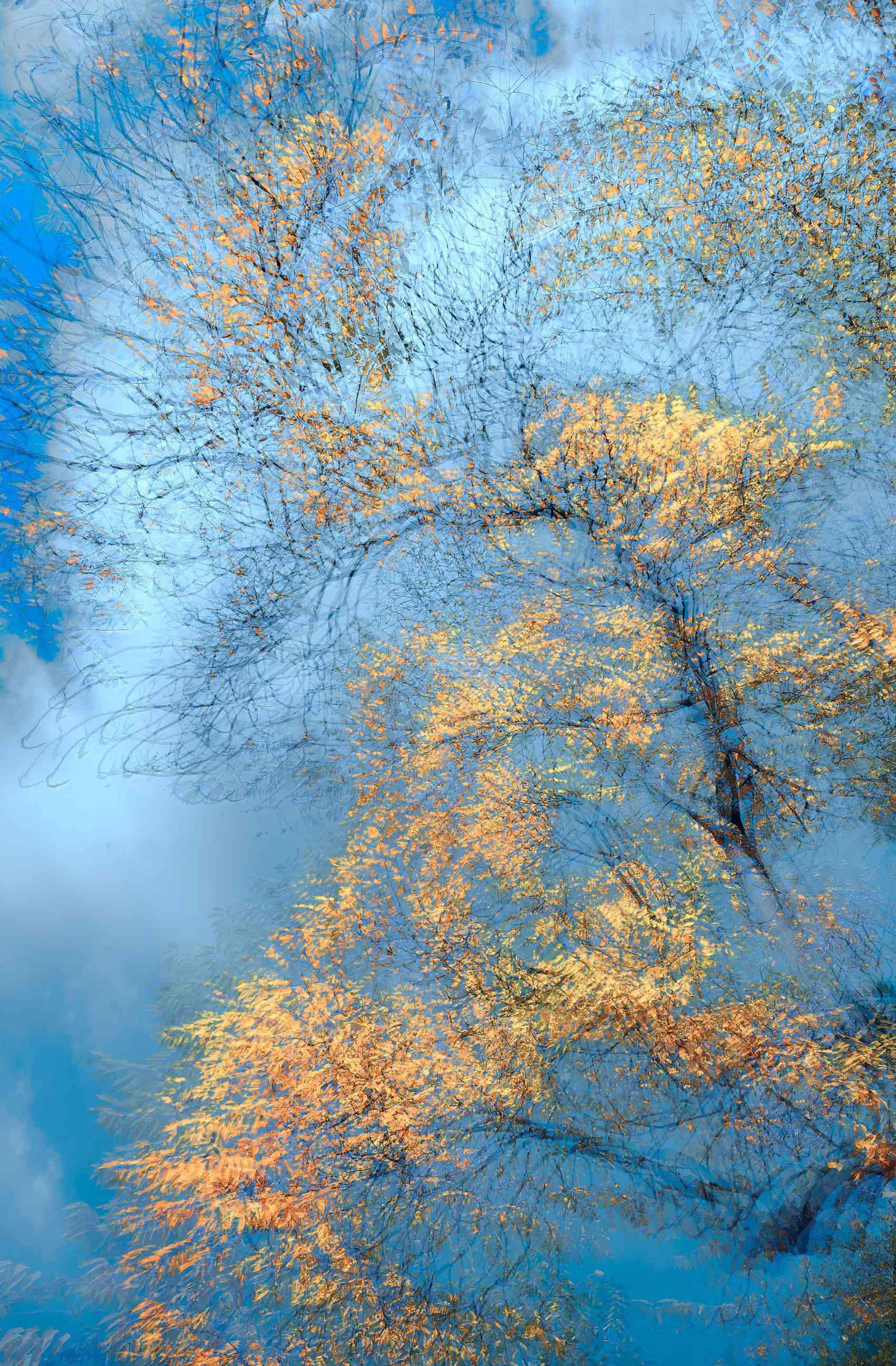 Fine art photograph of tree branches against a vivid blue sky, layered with motion and multiple exposure.