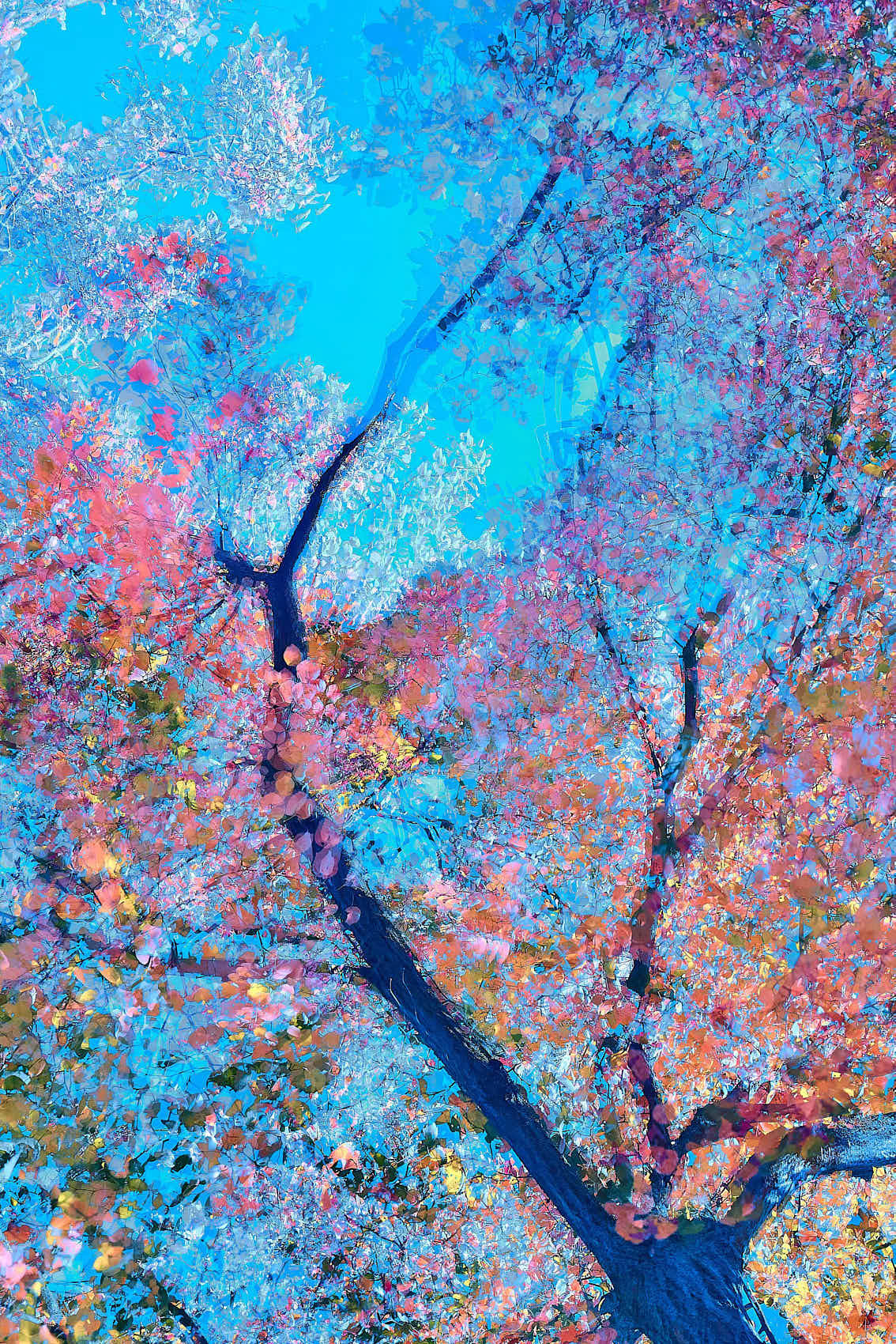 Phantom Trees III by Oleksandr Shapovalov. Shifting shapes of ancient trees captured through intentional camera movement (ICM), fine art environmental photography advocating for tree protection.
