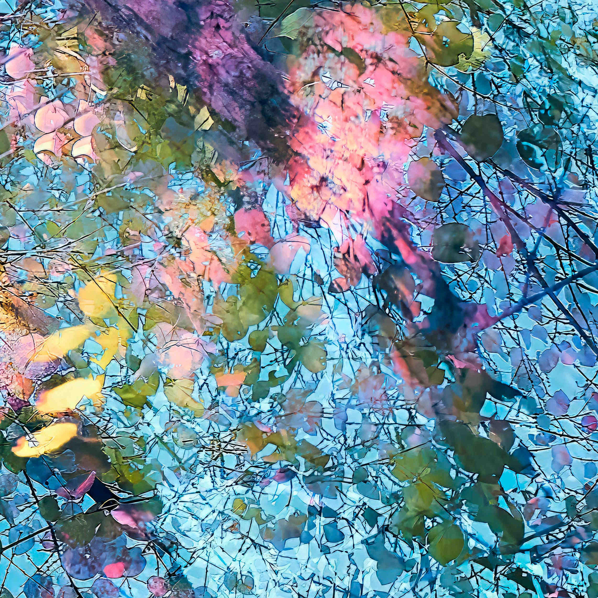 Detail